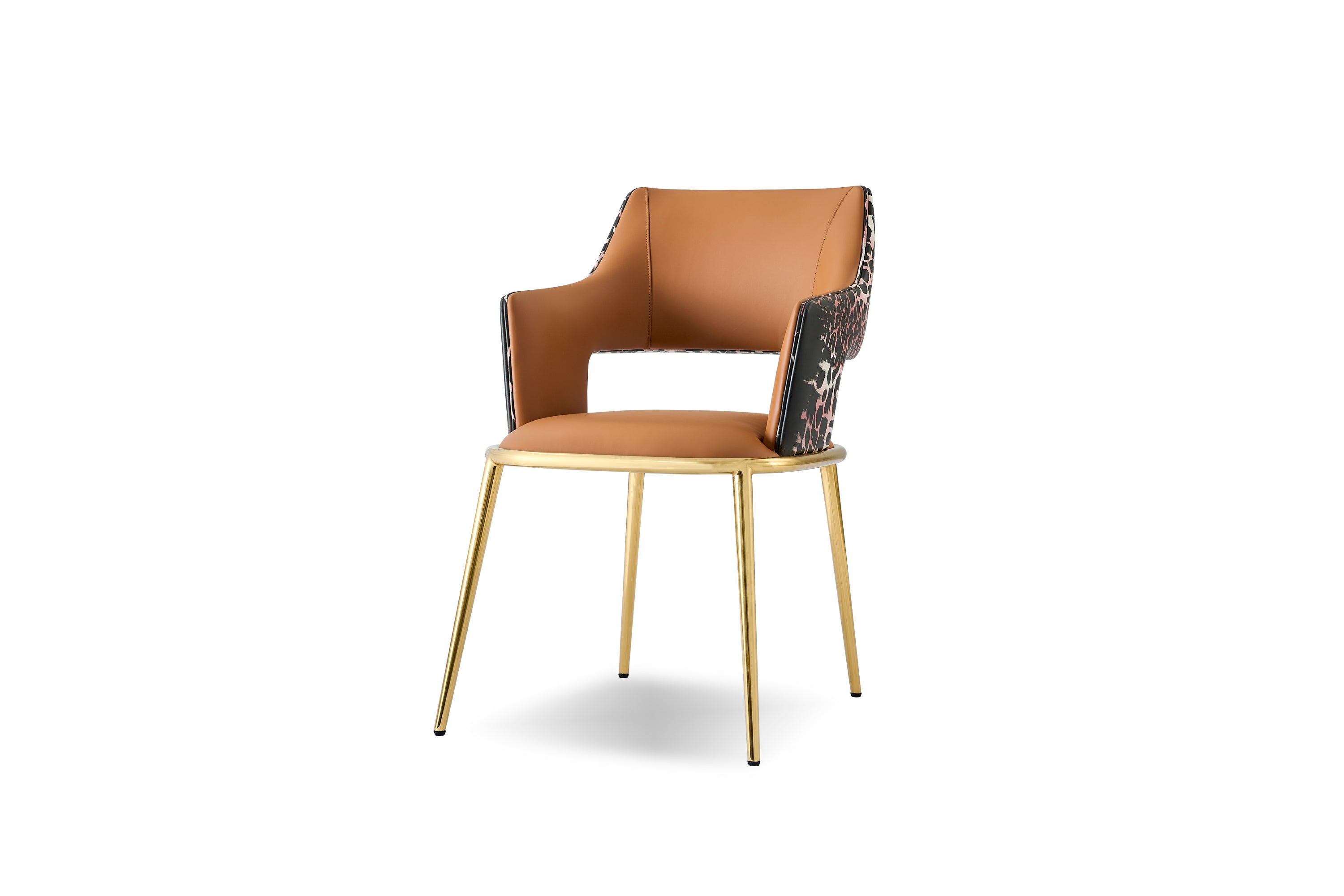 FB122D5 Dining chair - Chiuchiufurniture