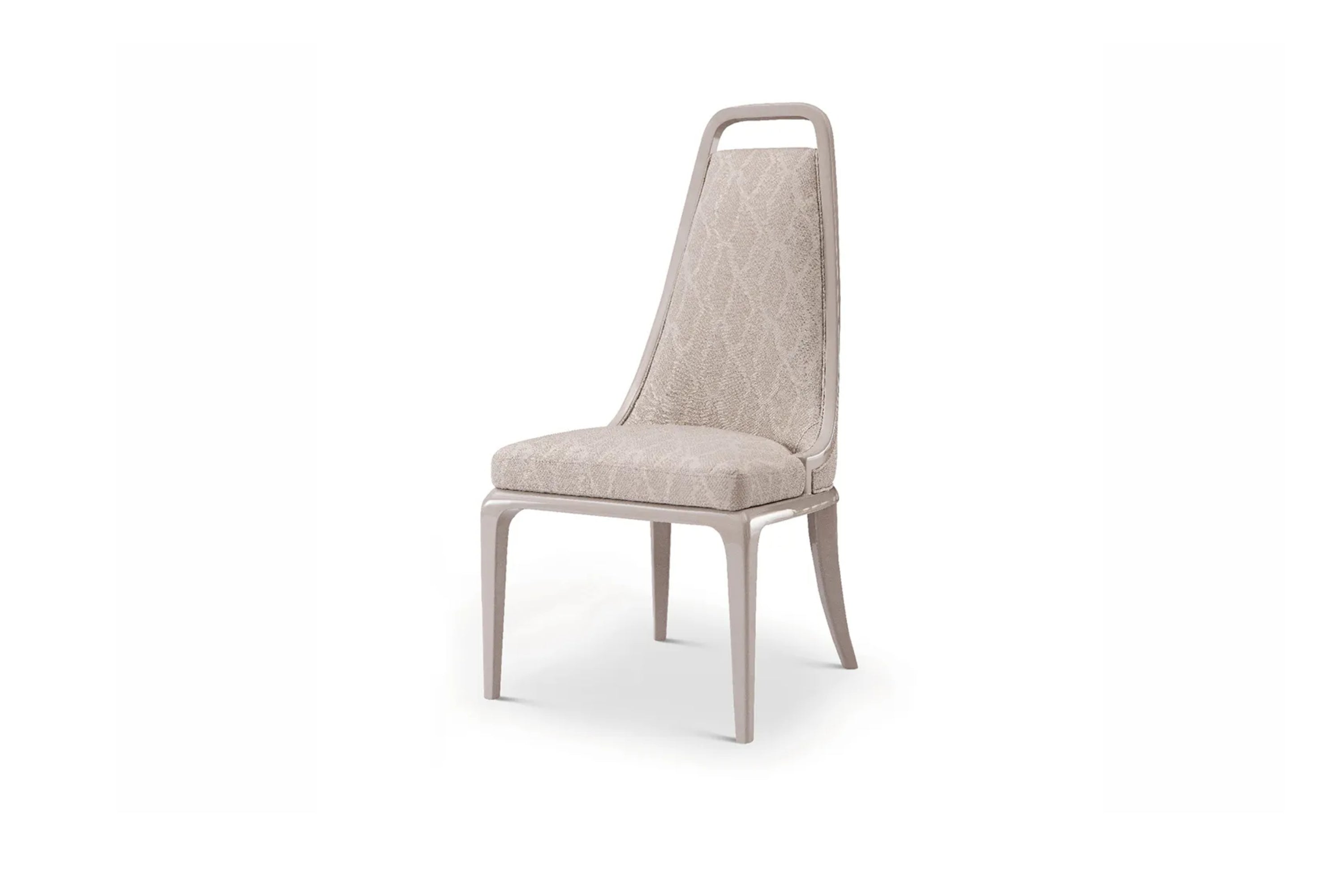 WH302D6 Dining chair - Chiuchiufurniture