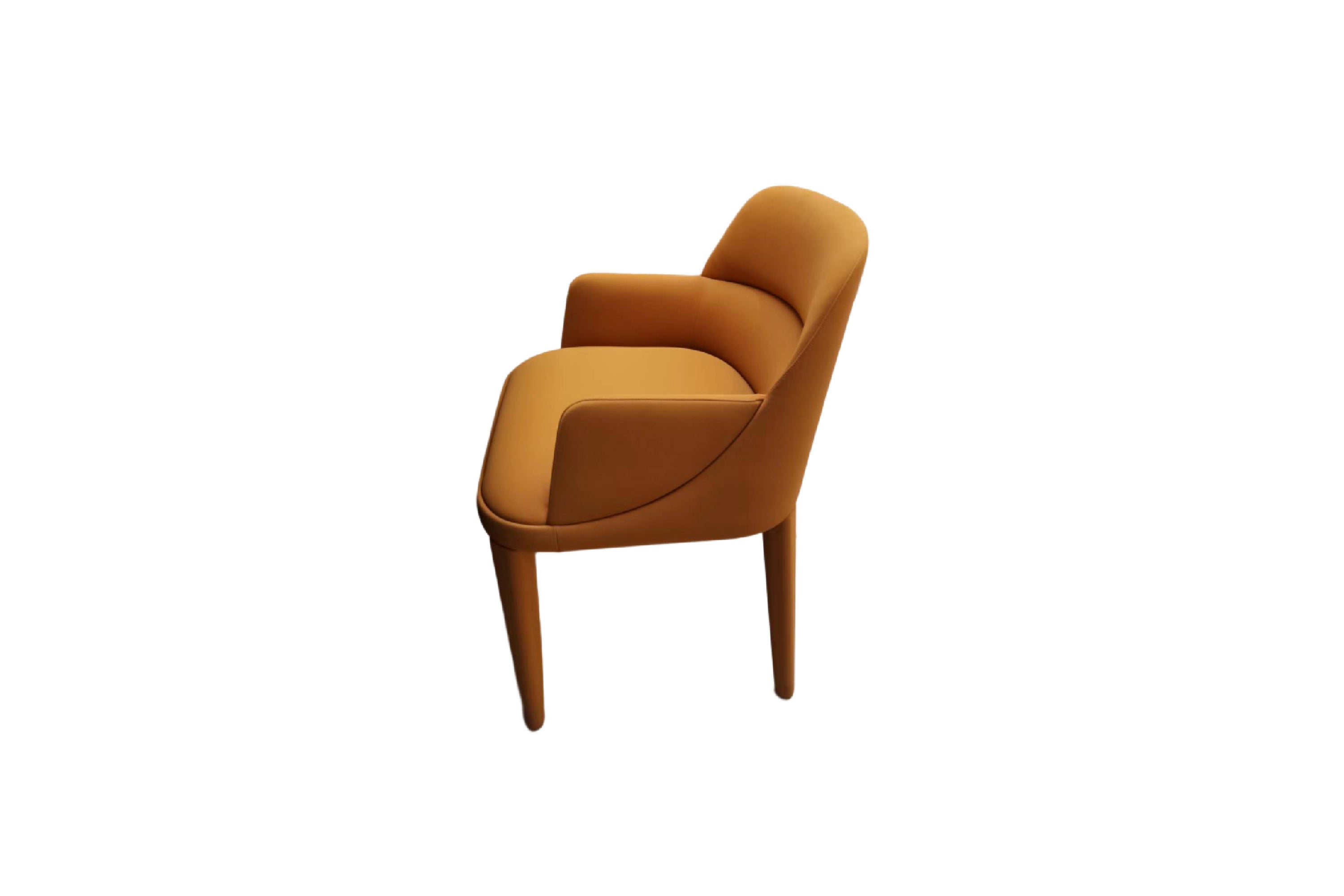 Y39 Minimalism Dining chair - Chiuchiufurniture