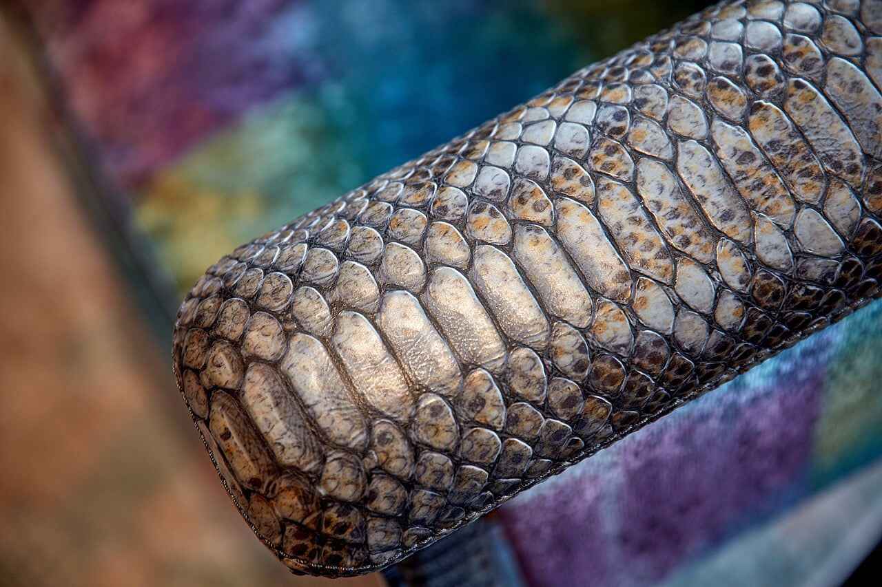 APTS-1187 Lounge chair