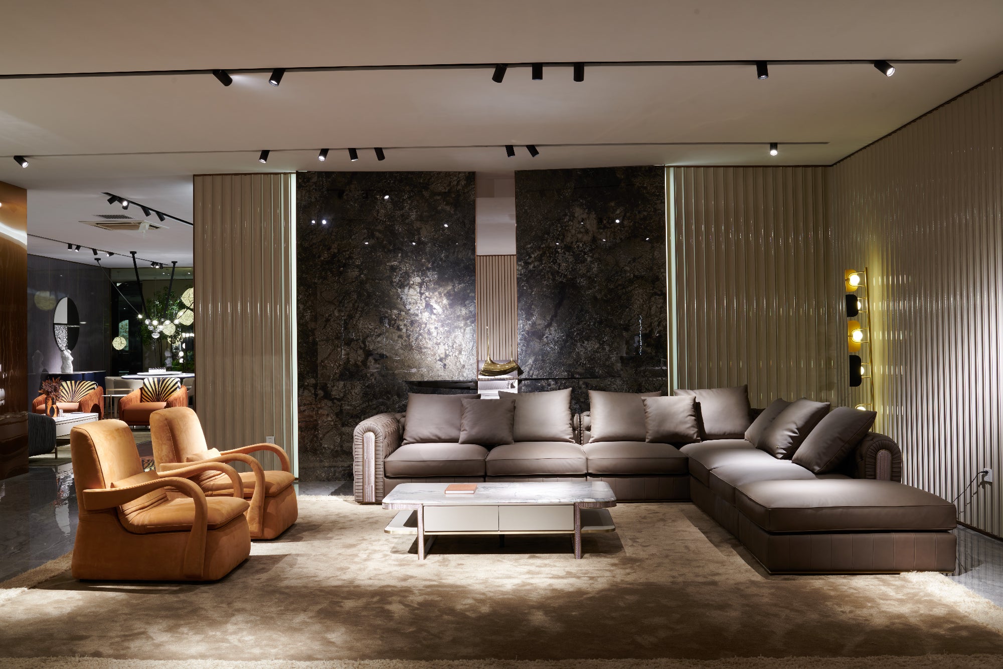 DE3-073 Leisure chair Comfortable and soft to sit on - Chiuchiufurniture