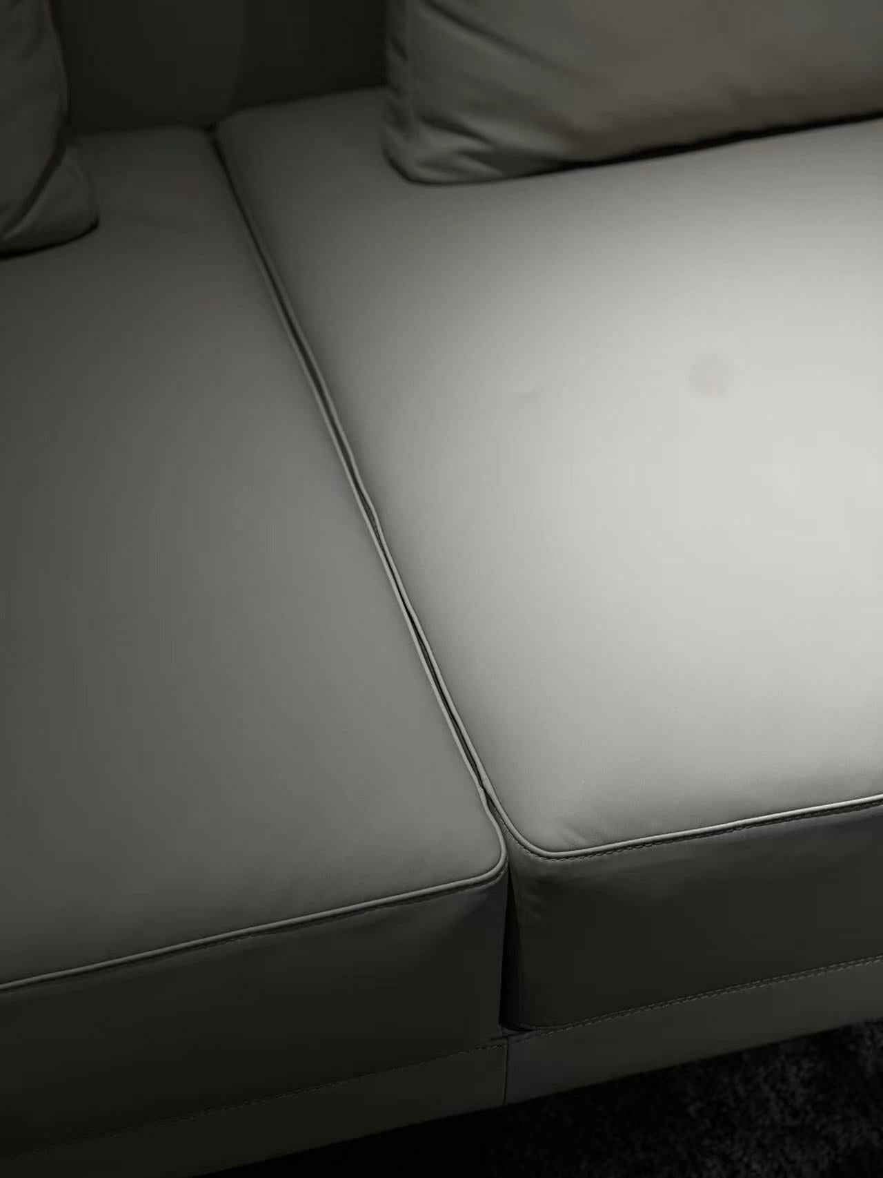 Italian minimalist FA93 leather sofa DJ5-061 sofa