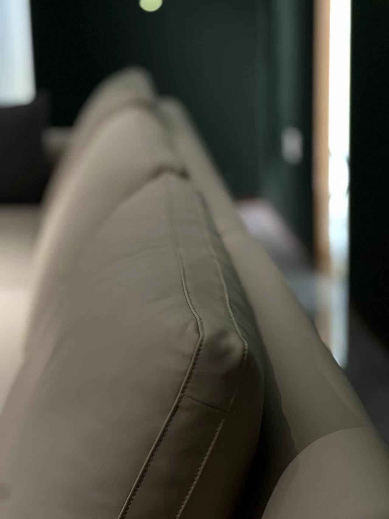 Italian minimalist FA93 leather sofa DJ5-061 sofa