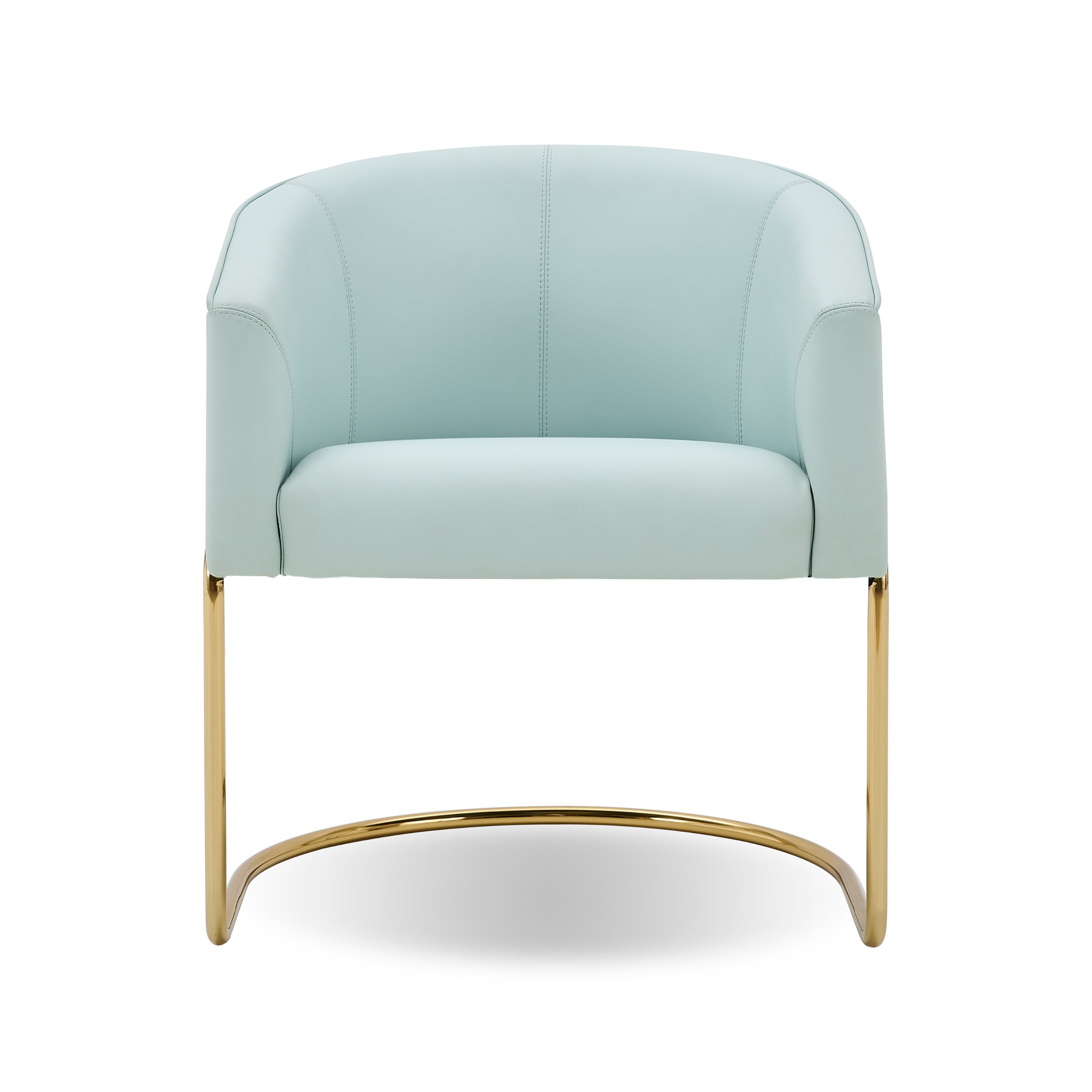 FB118D5 Dining chair - Chiuchiufurniture