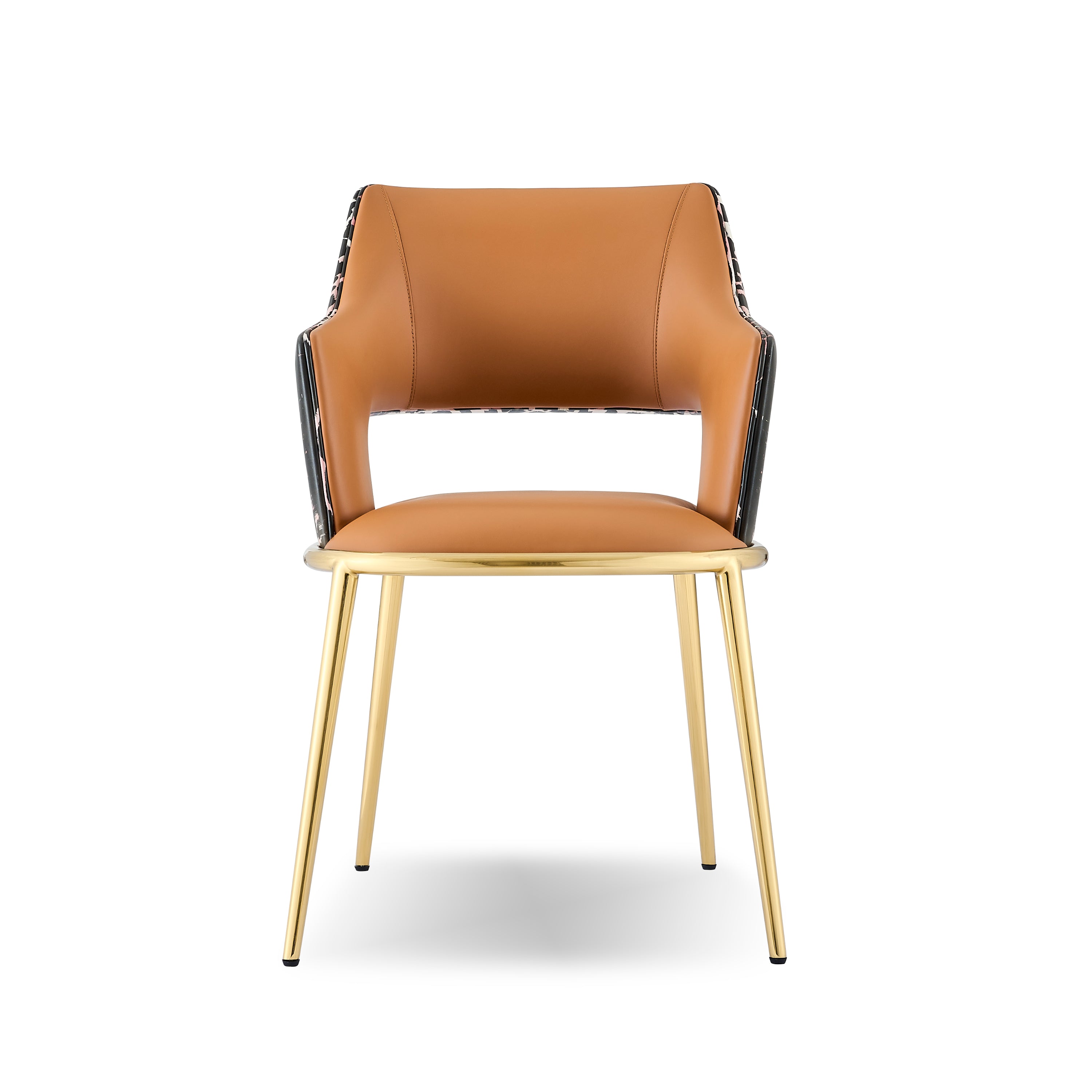 FB122D5 Dining chair - Chiuchiufurniture