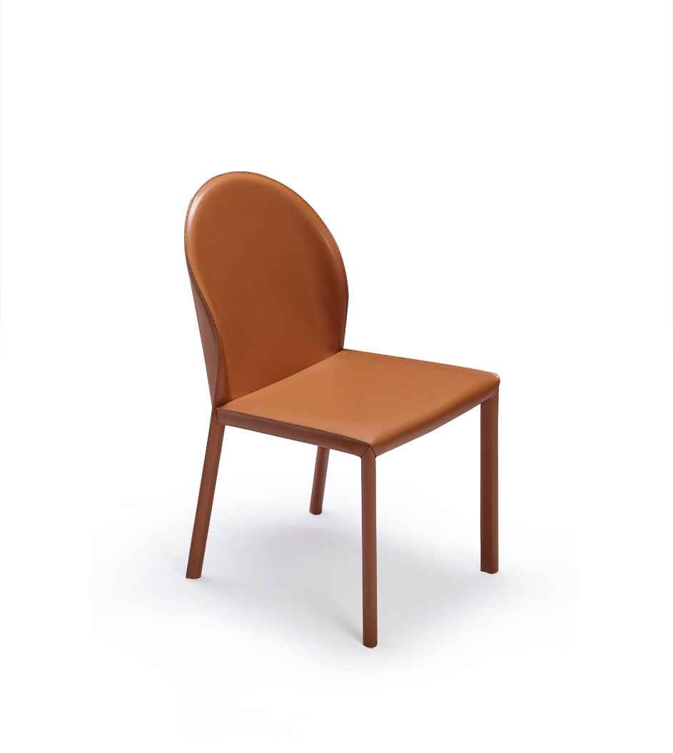 HB-W1917-1 Dining Chair - Stylish Modern Seating Solution