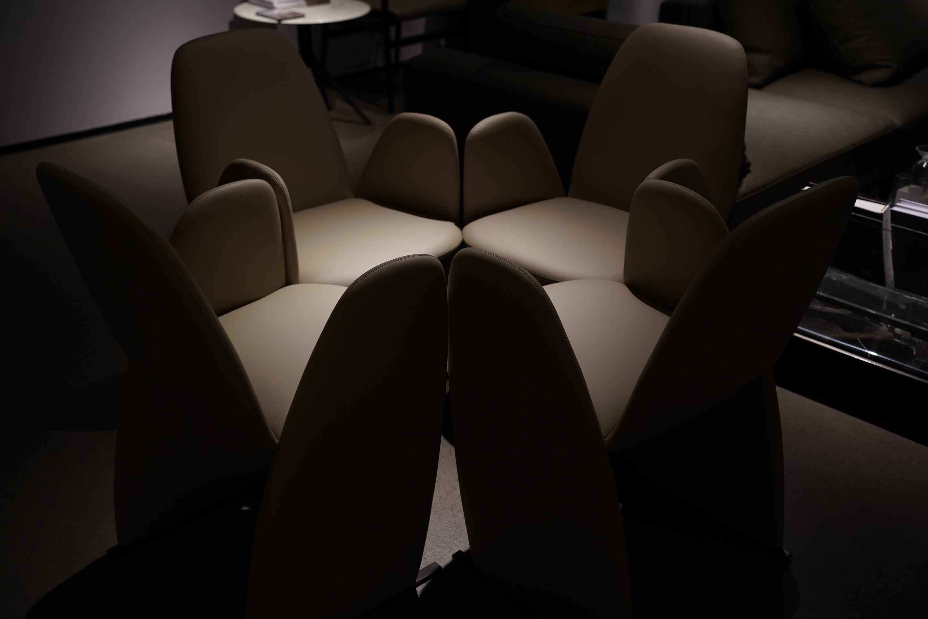 HB5-2322-1 Dining chair