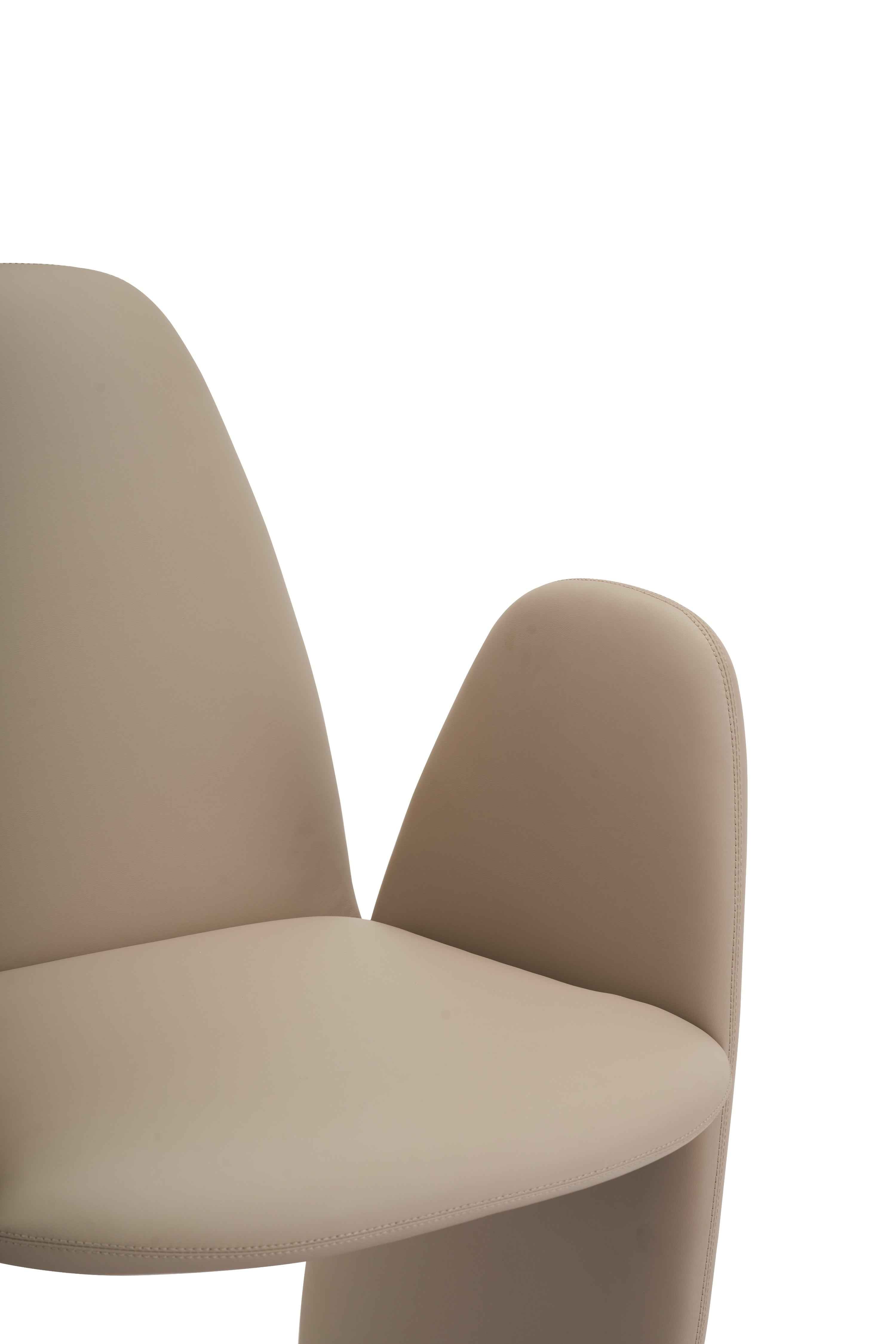 HB5-2322-1 Dining chair