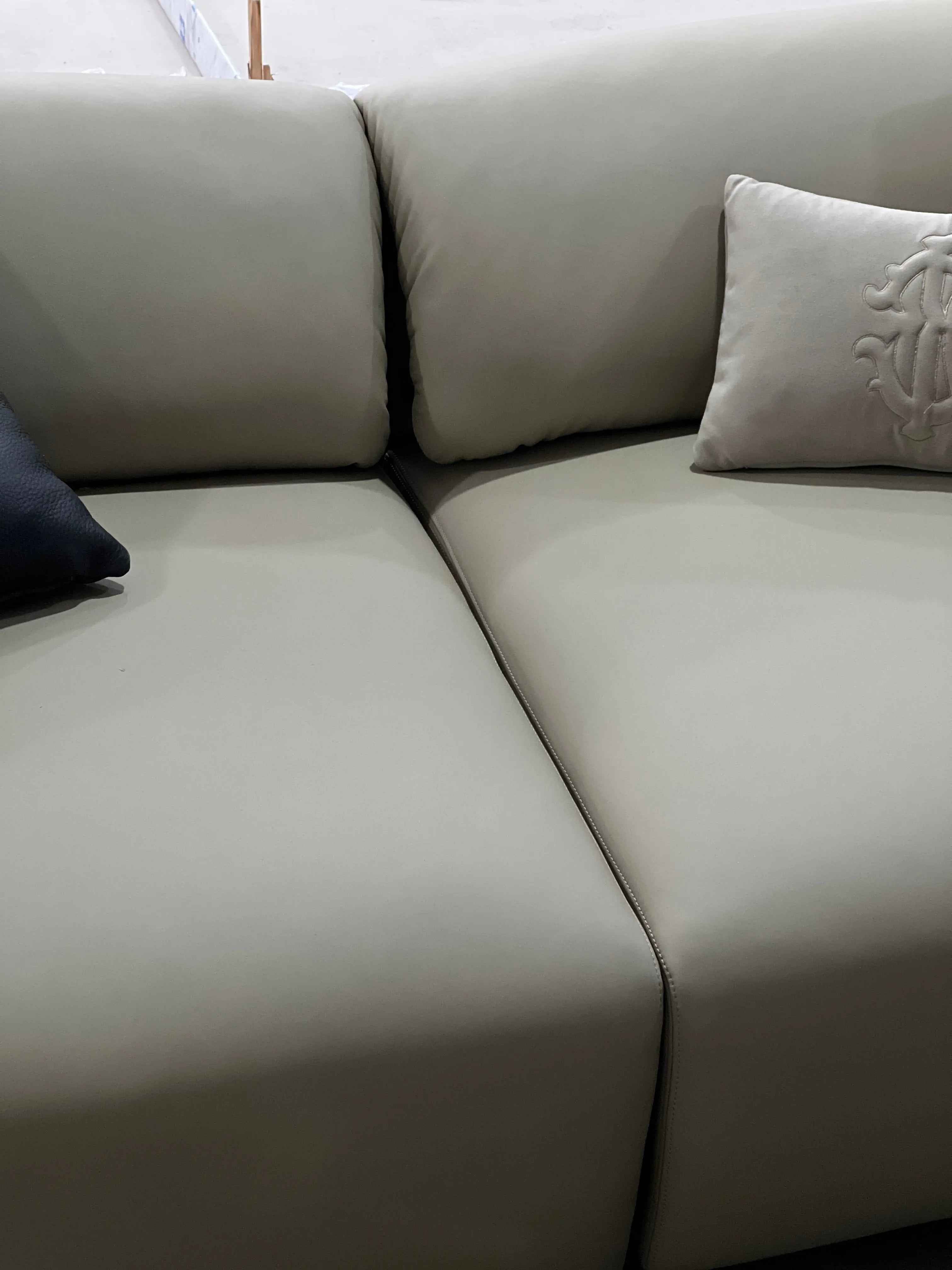 Modern Design Full Leather Living Room Sofa WH311SF2 two seater Modern furniture sofa