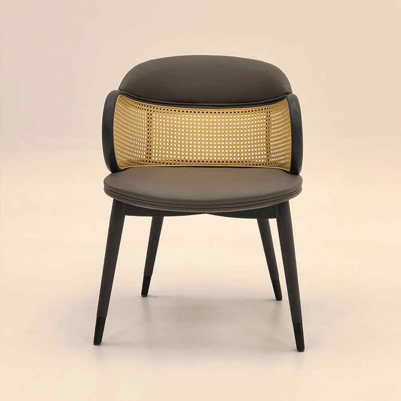 AW-CY59 Dining Chair