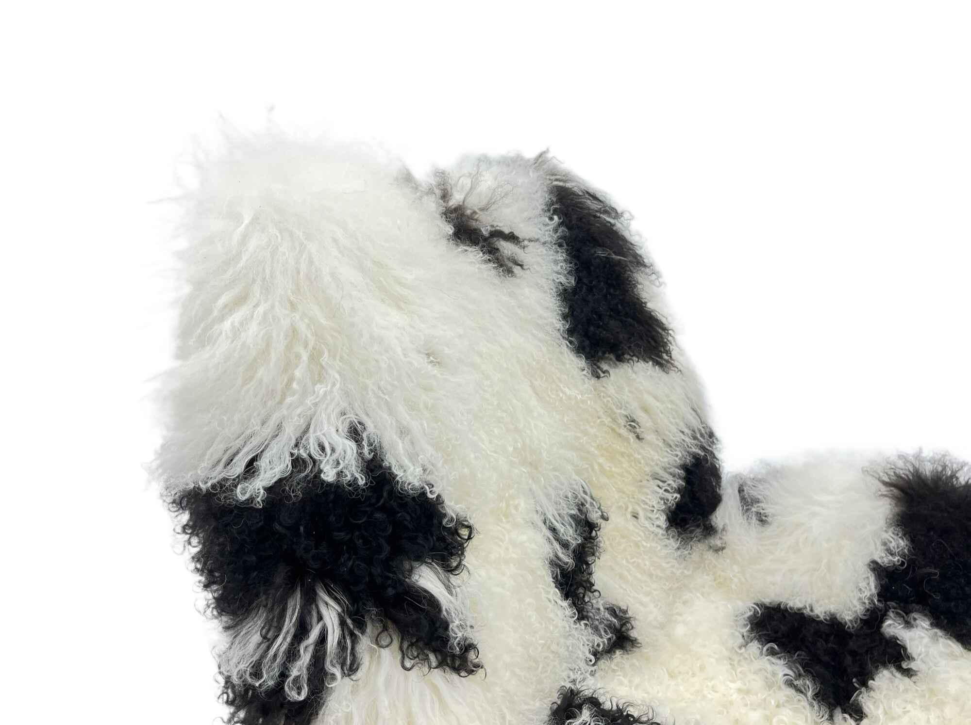 SF-457 Parlor ChairLiving Room Leisure Chair