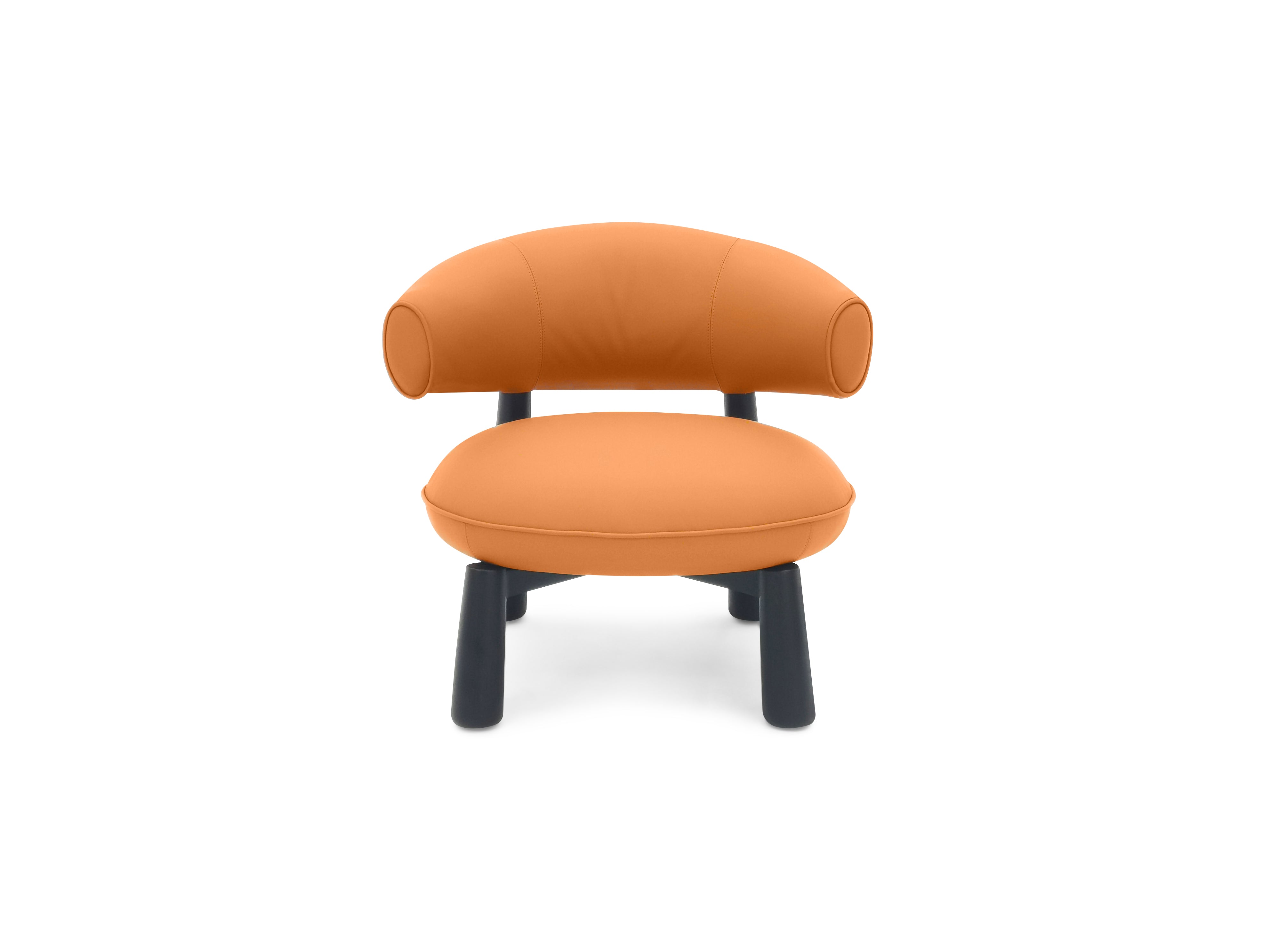 VE3-2408 Leisure chair for Ultimate Comfort and Relaxation - Chiuchiufurniture