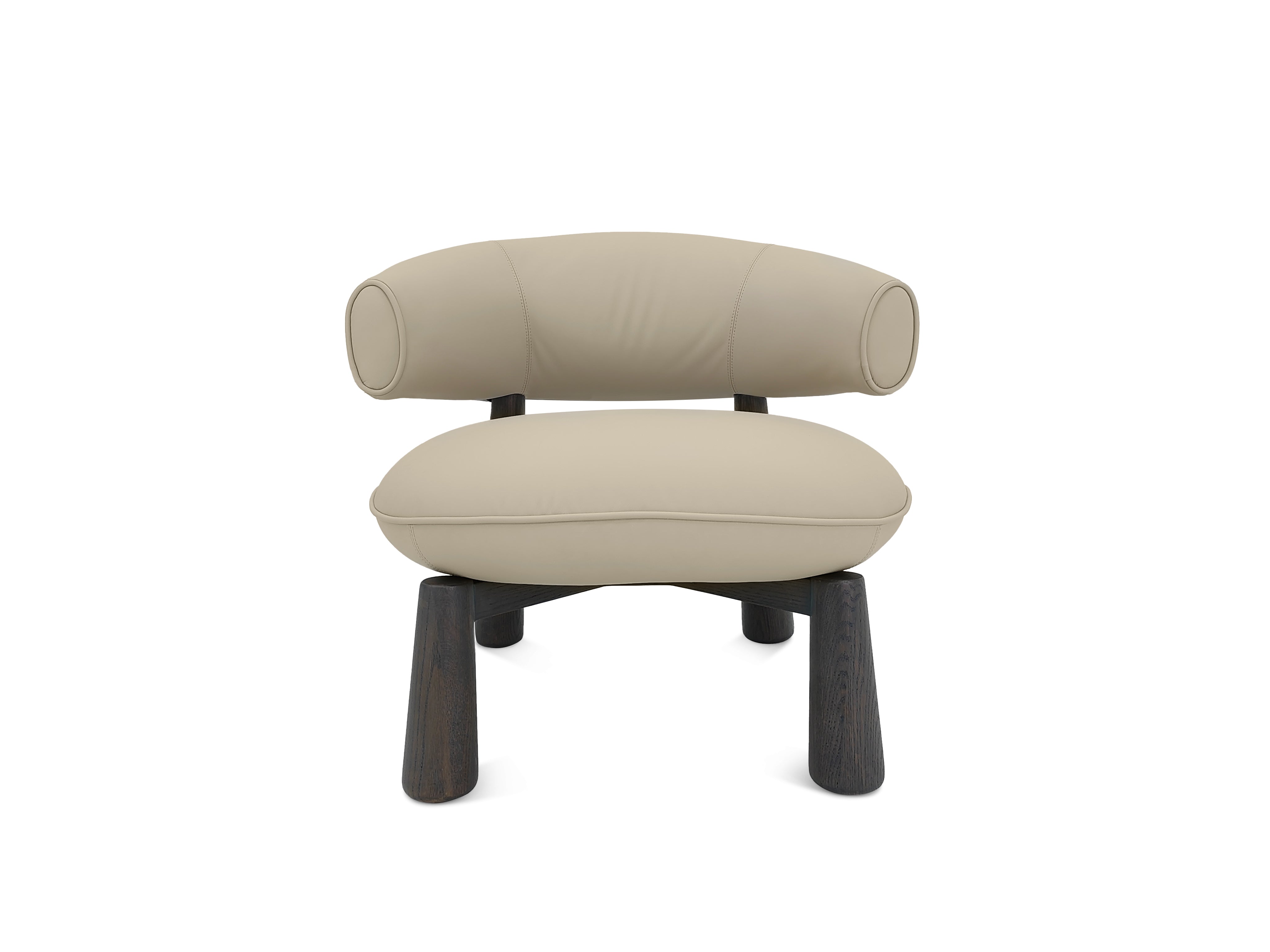 VE3-2408 Leisure chair for Ultimate Comfort and Relaxation - Chiuchiufurniture