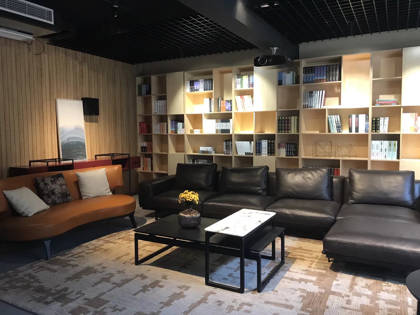 VJ5-1676 Combination Sofa Comfortable and soft to sit on - Chiuchiufurniture