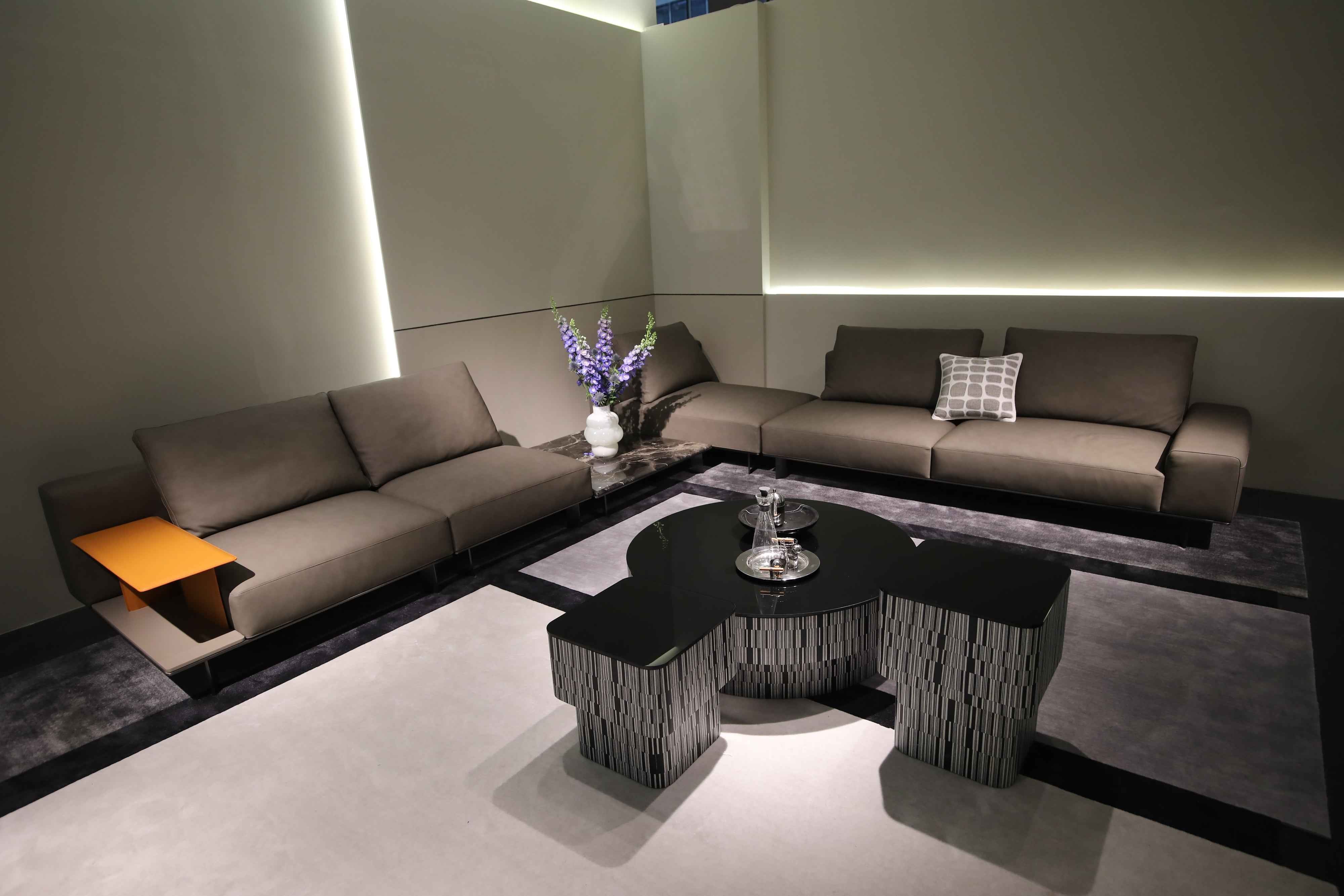 Modern Minimalist Black Oiled Glass Coffee Table with Zebra Wood Art Veneer HC-2320-1 Tea table