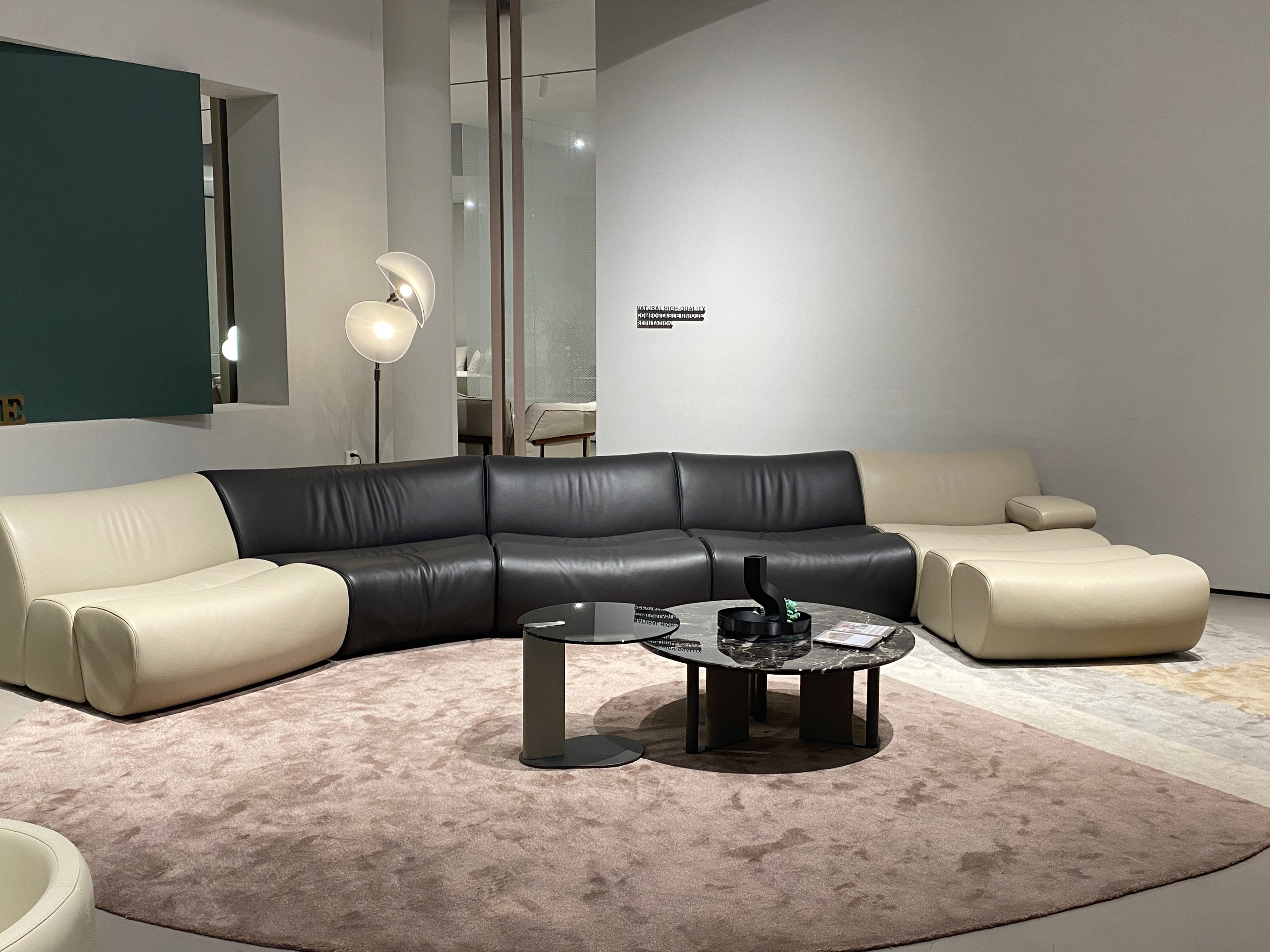 VJ5-2381 Combination Sofa Comfortable and soft to sit on - Chiuchiufurniture