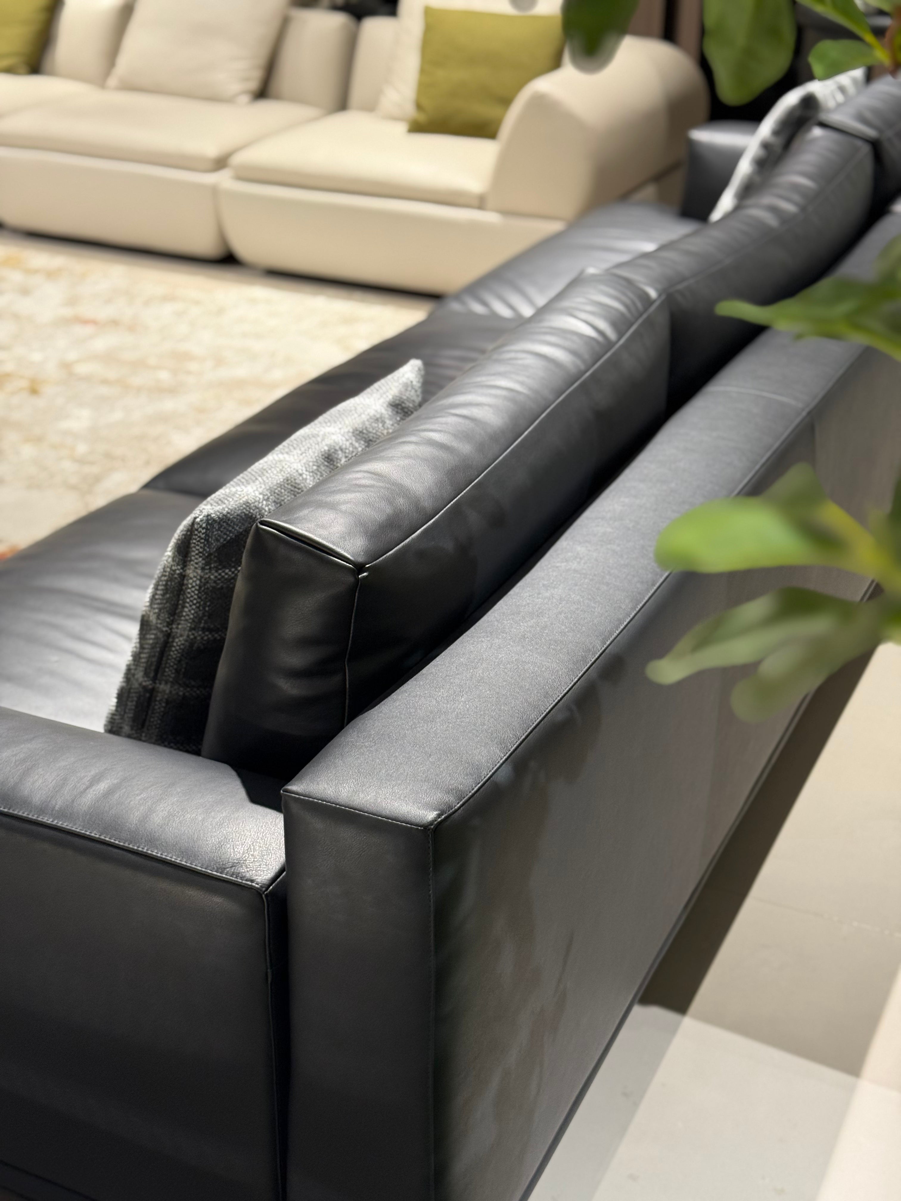 VJ6-2421 Combination Sofa Comfortable and soft to sit on - Chiuchiufurniture