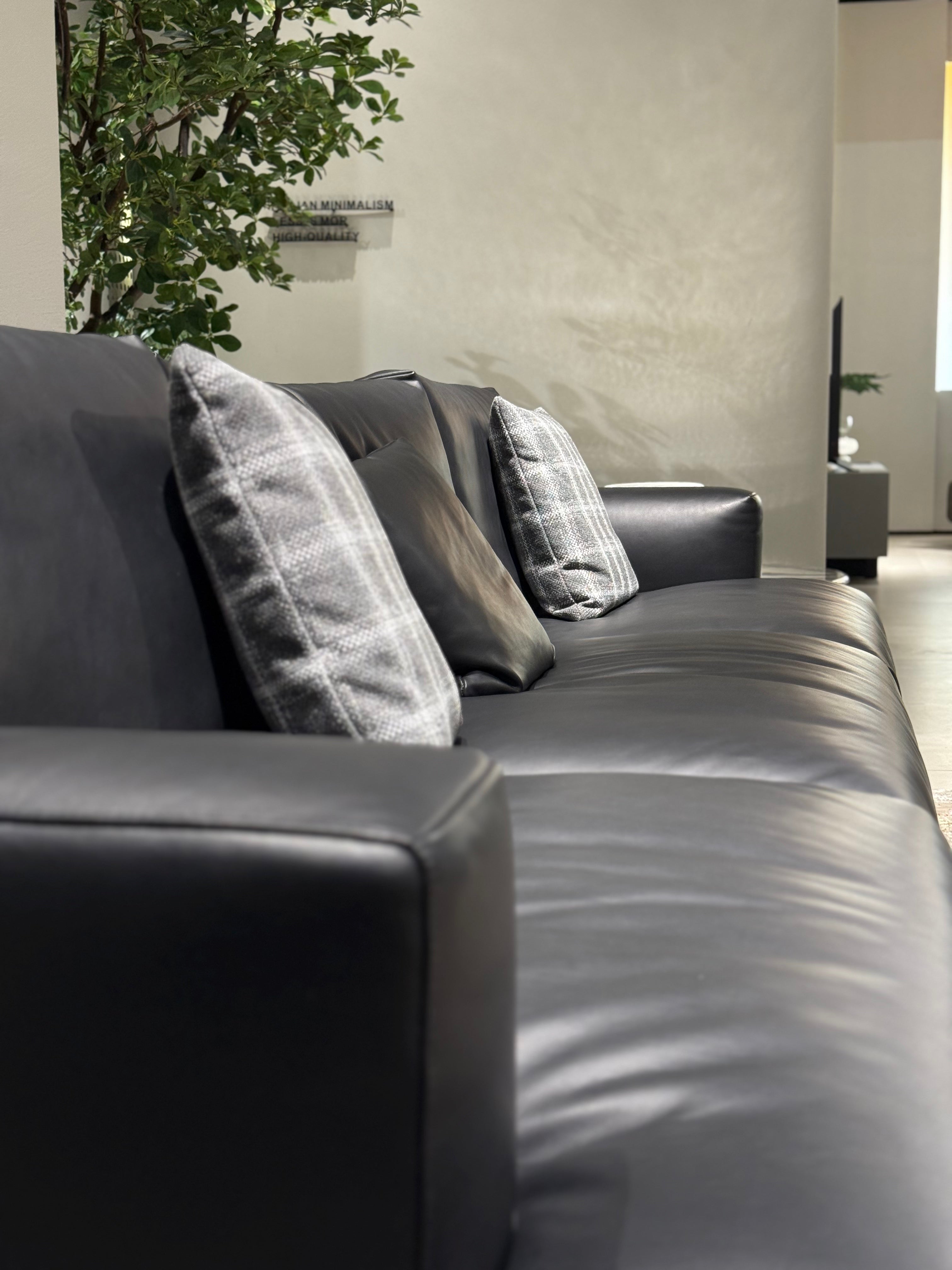 VJ6-2421 Combination Sofa Comfortable and soft to sit on - Chiuchiufurniture