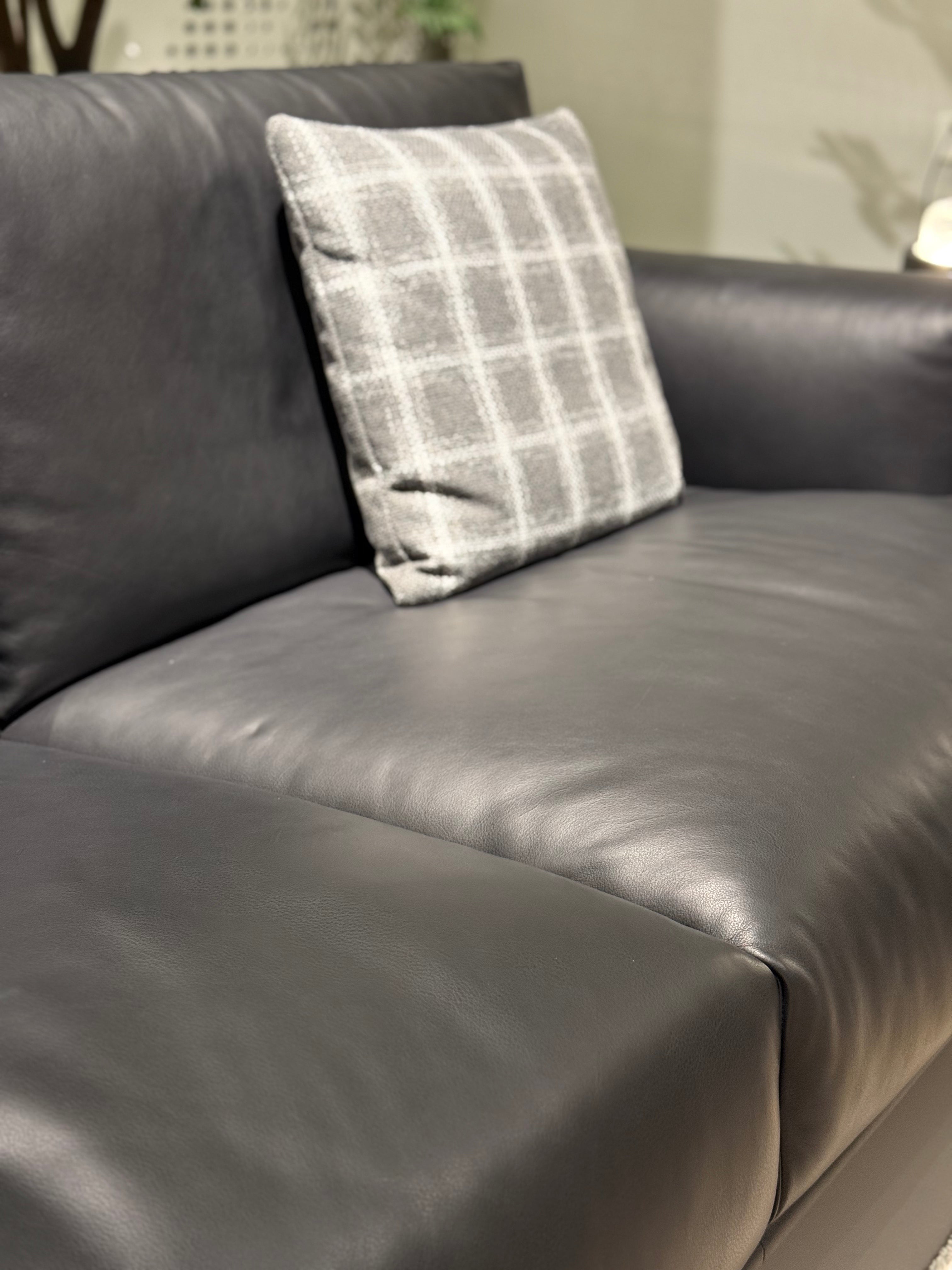 VJ6-2421 Combination Sofa Comfortable and soft to sit on - Chiuchiufurniture