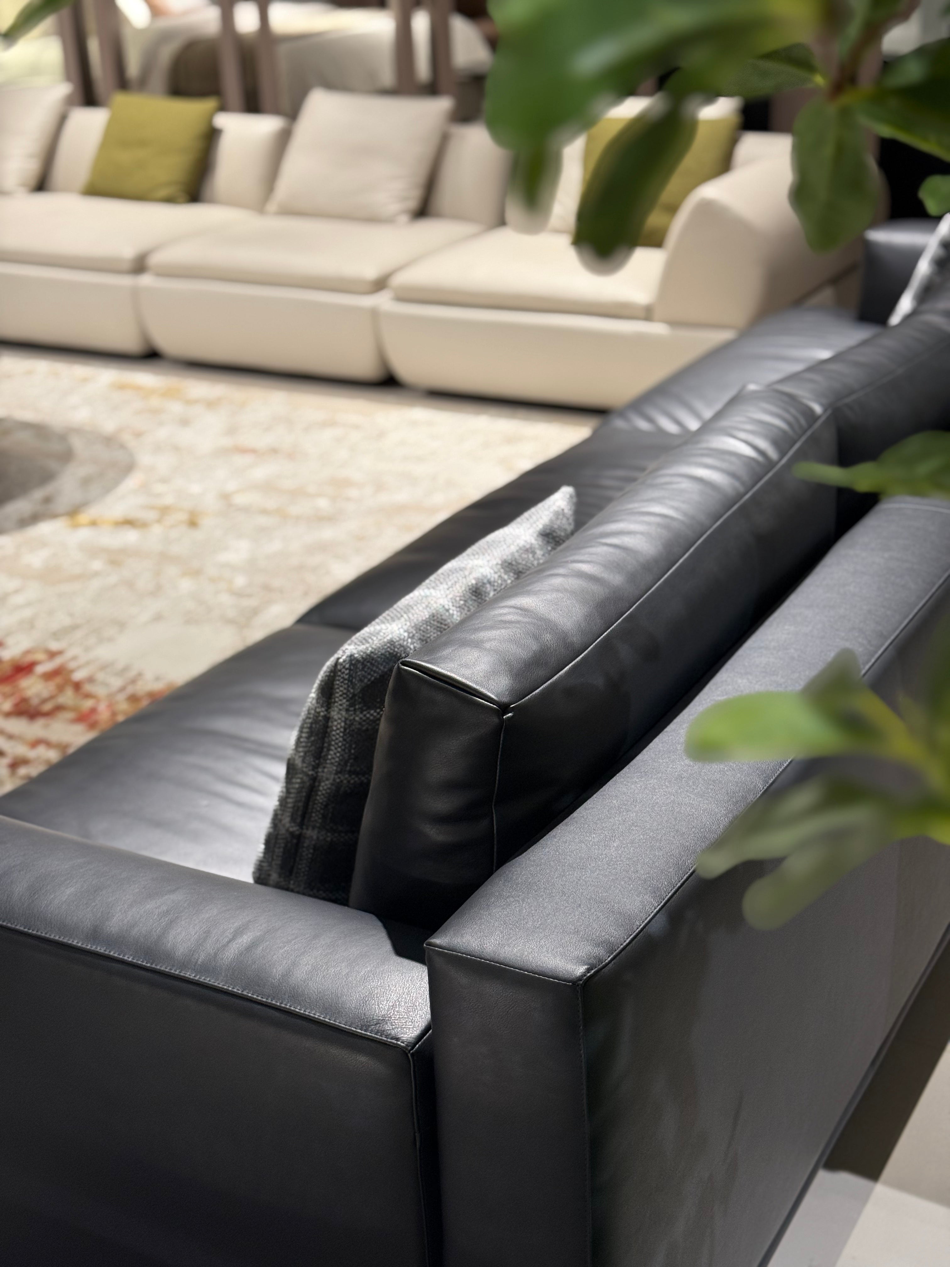 VJ6-2421 Combination Sofa Comfortable and soft to sit on - Chiuchiufurniture