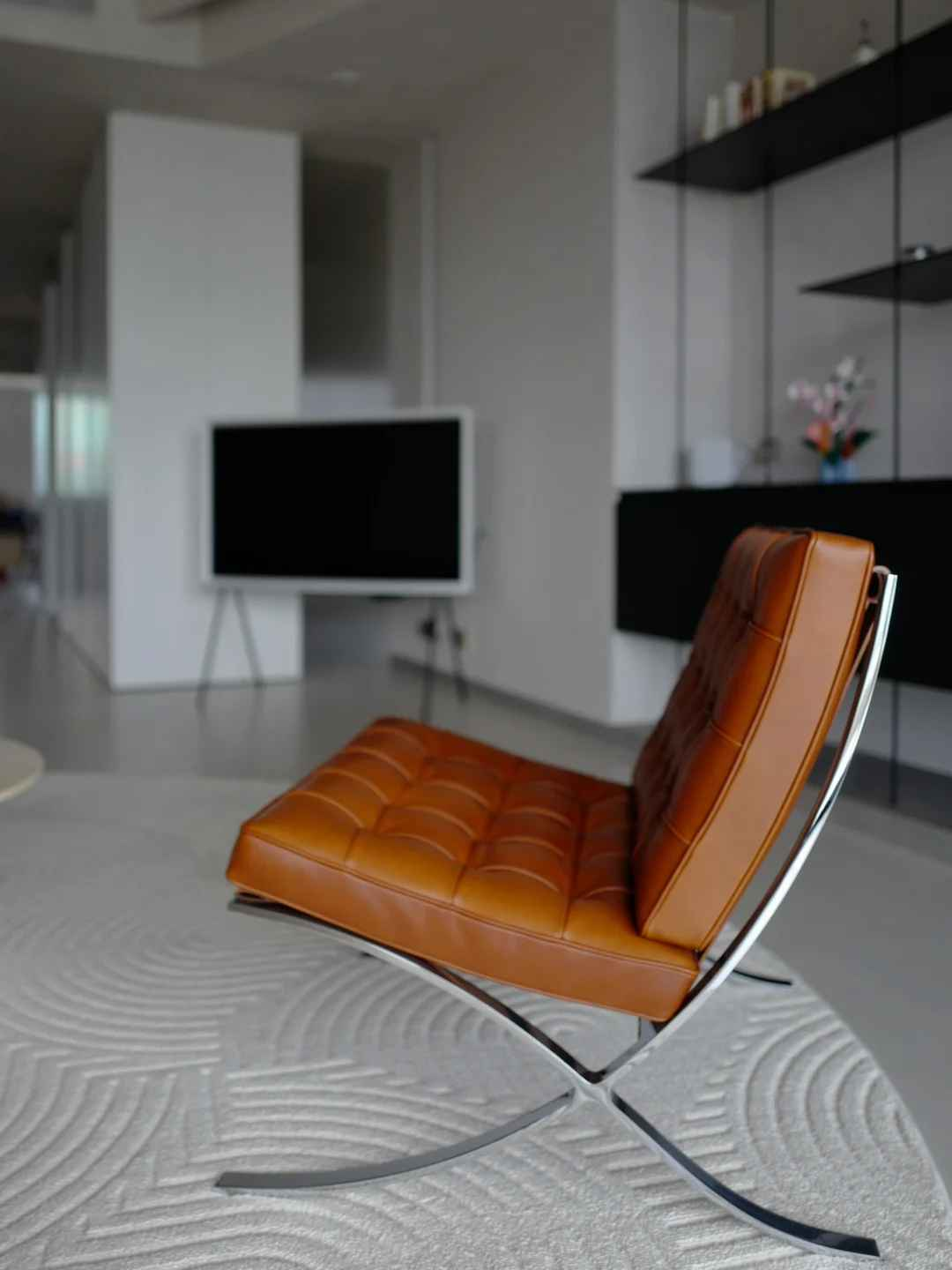 XXY-058 Barcelona Leisure Chair