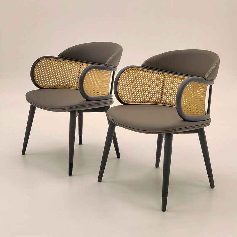 AW-CY59 Dining Chair