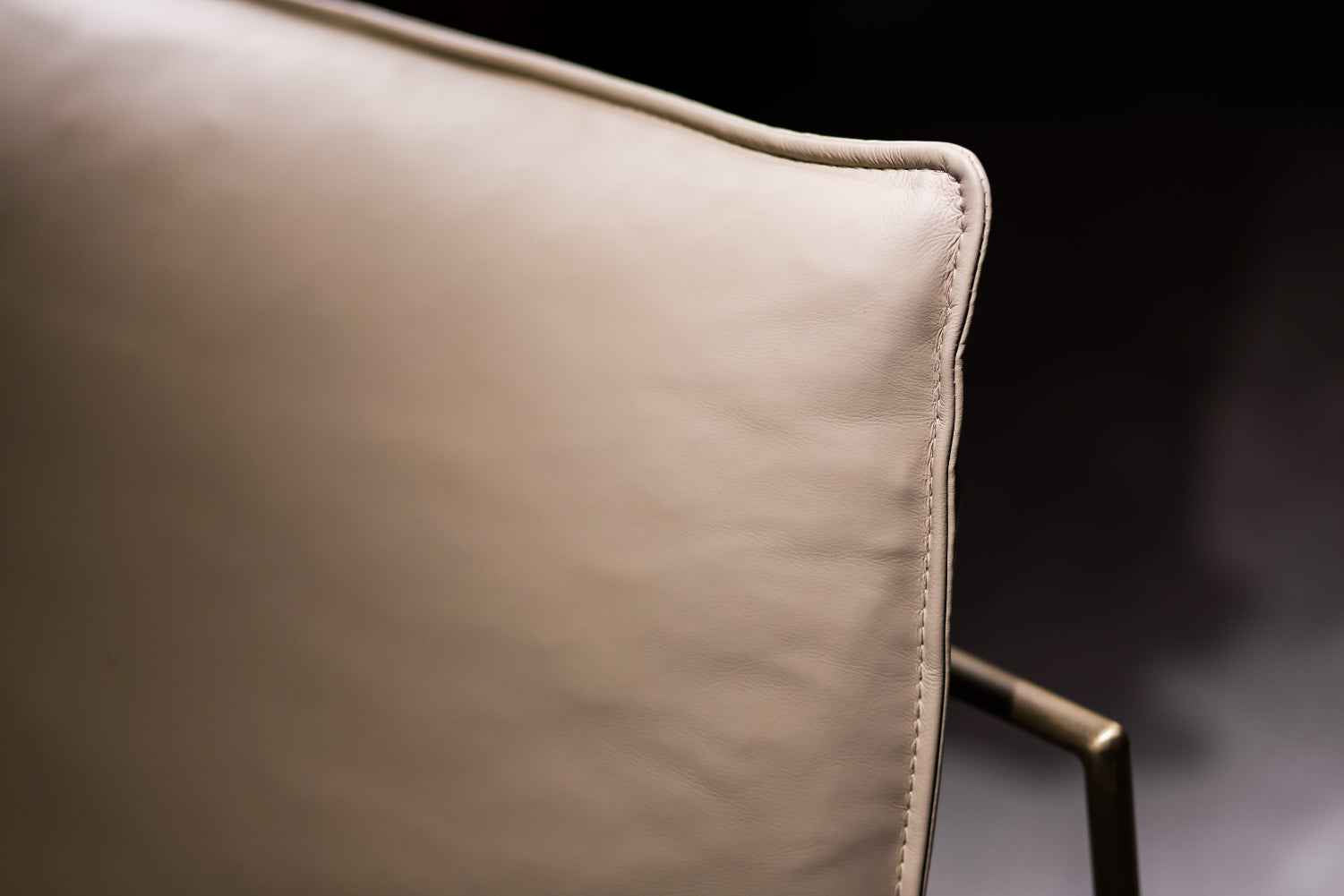 Italian minimalist style FA93 leather lounge chair VE5-2020 Lounge chair