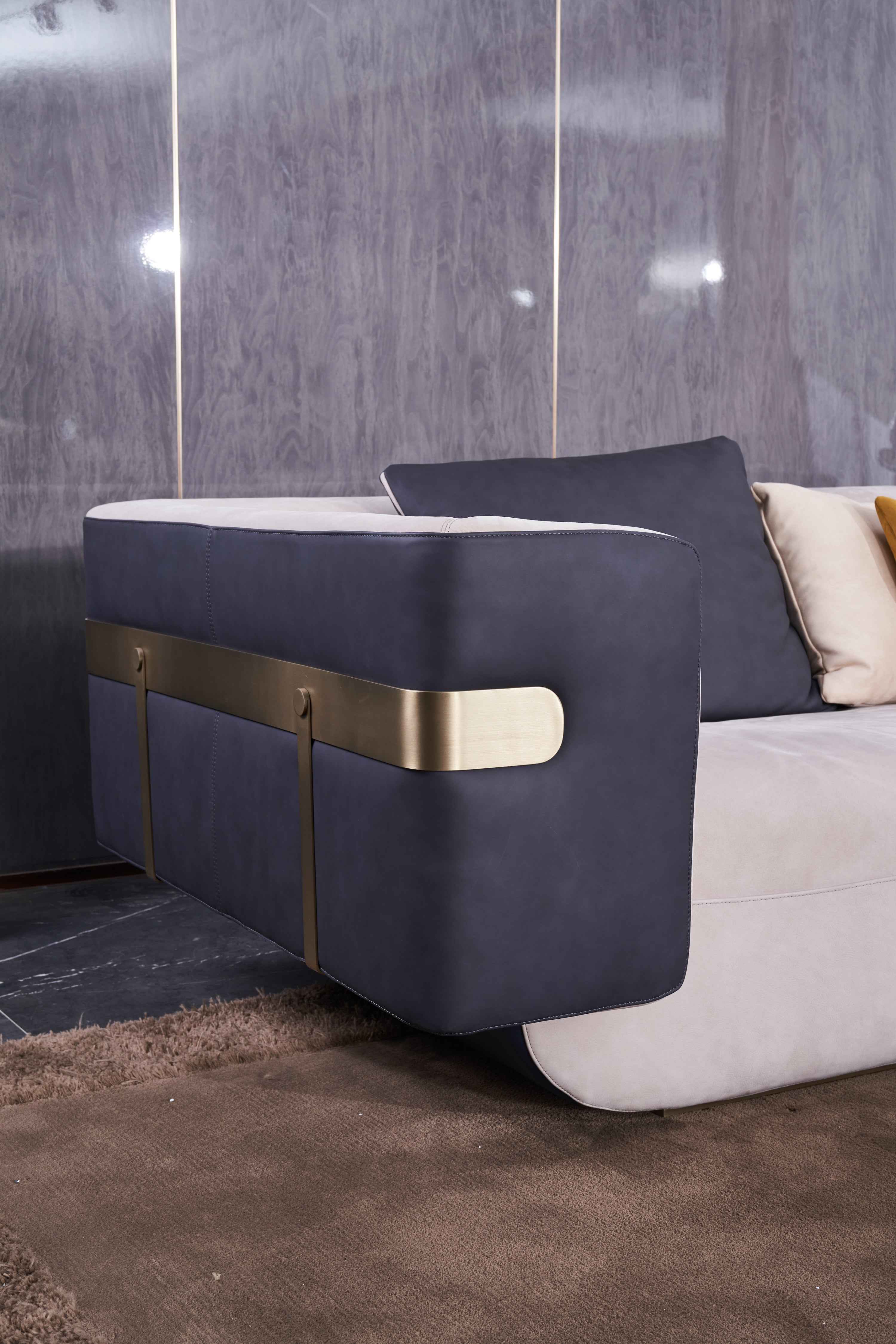 Italian minimalist A66 leather sofa DJ5-051 Sofa