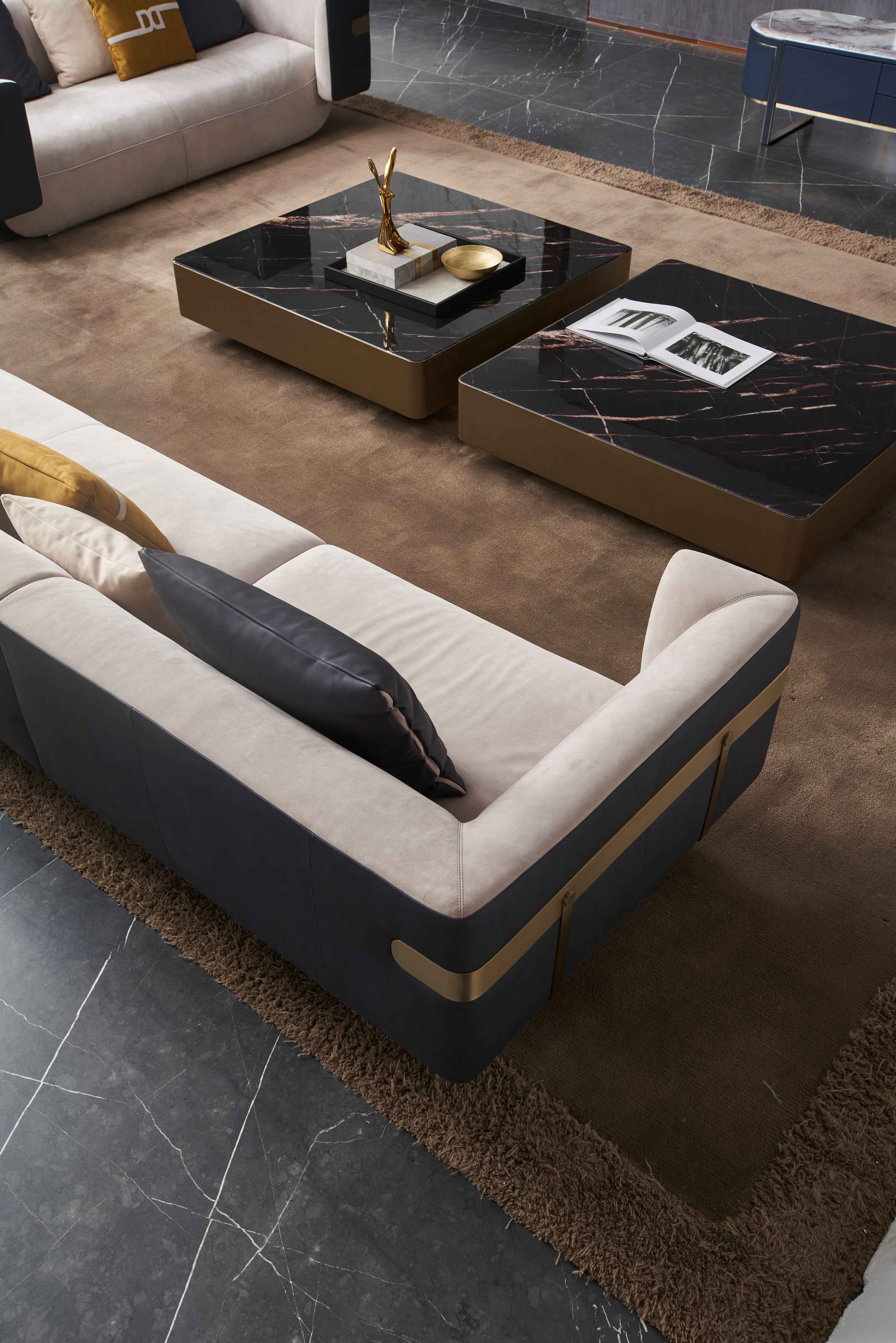 Italian minimalist A66 leather sofa DJ5-051 Sofa