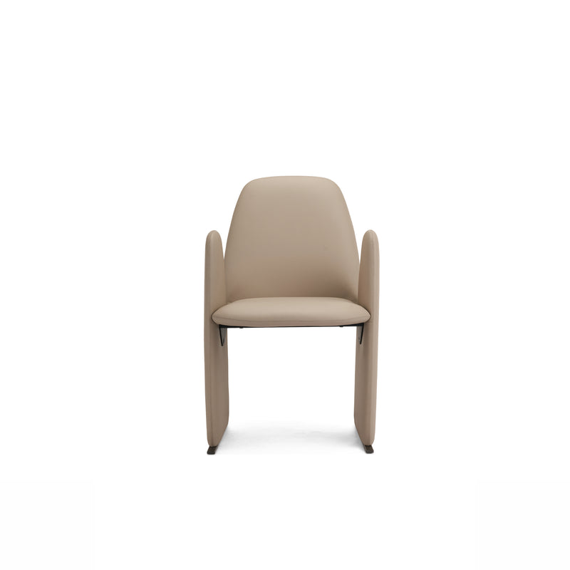 HB5-2322-1 Dining chair