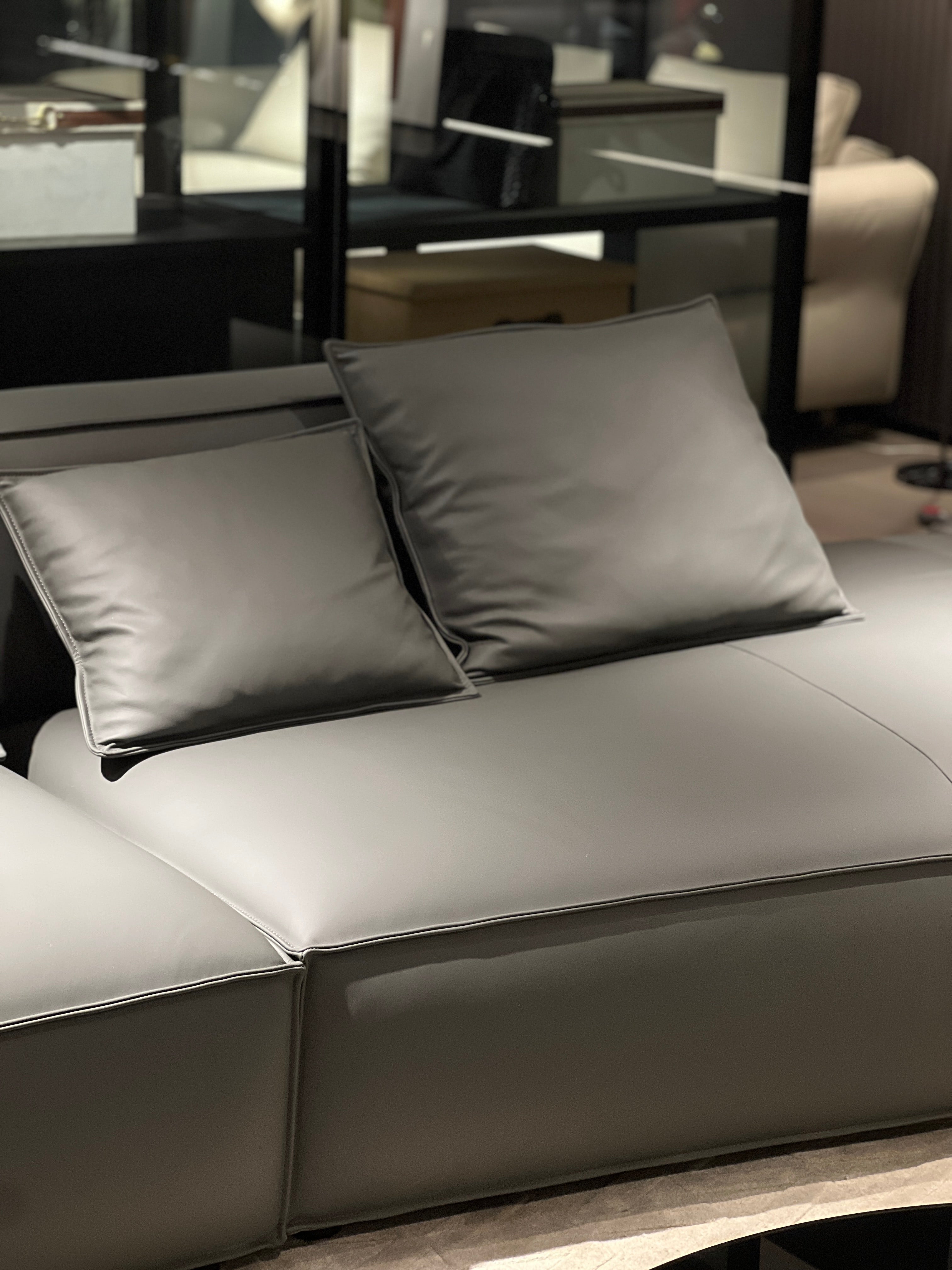 Modern Minimalist Full Leather Suitable for small apartments Sofa VJ2-2328 Sofa