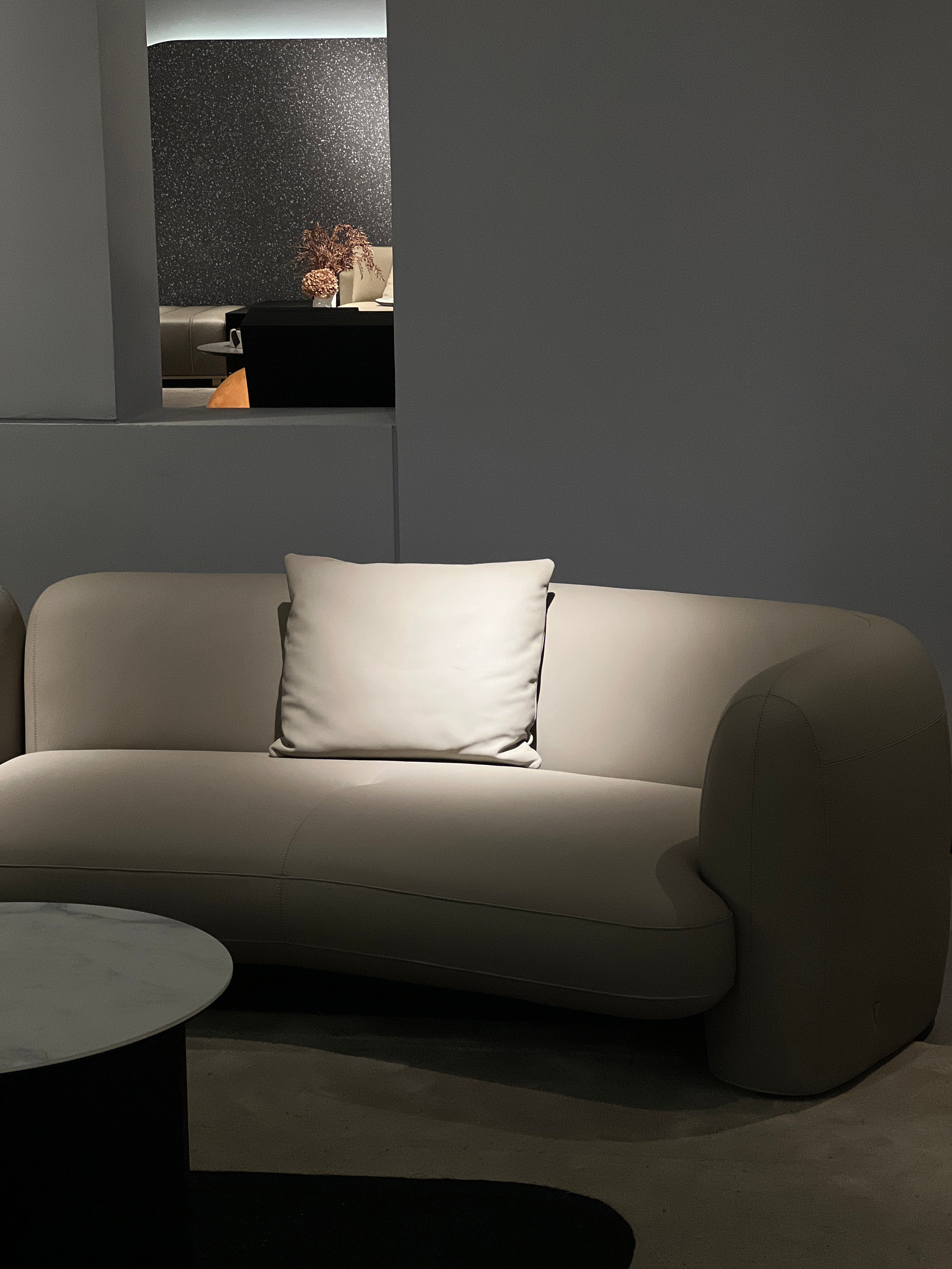 Modernes minimalistisches Sofa-Set Fortschrittliches Sofa im minimalistischen Volllederdesign VJ1-2329 Sofa