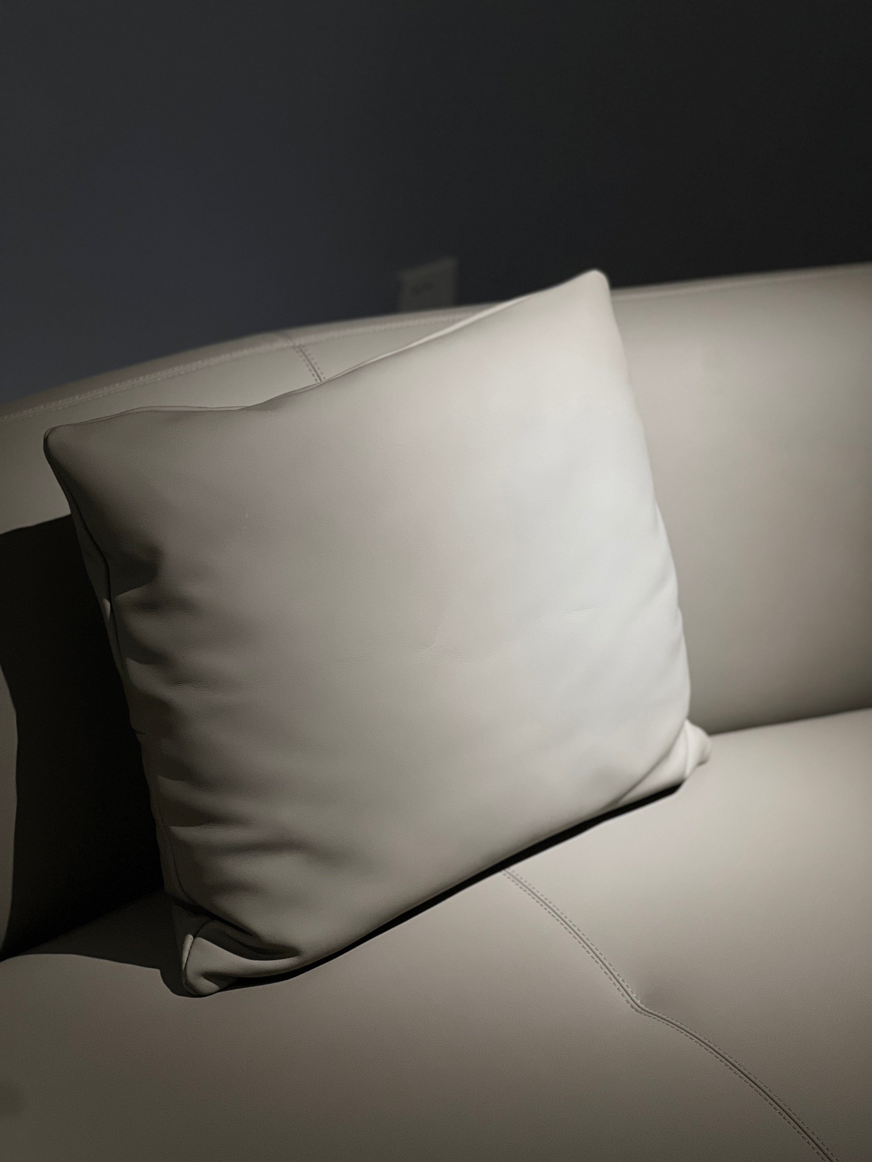 Modern minimalist sofa set Advanced all-leather minimalist design sofa VJ1-2329 sofa