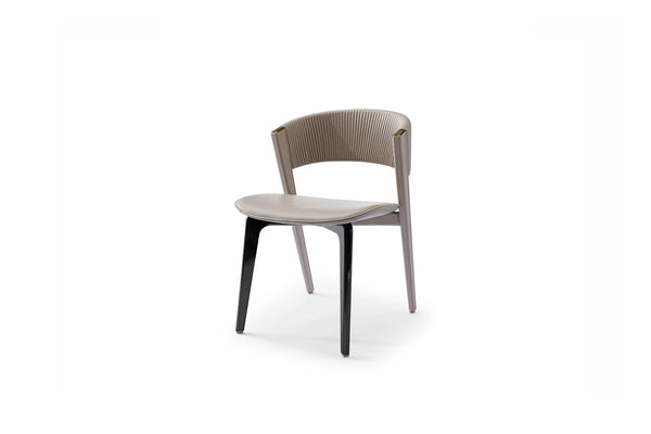 WH309D6 dining chair