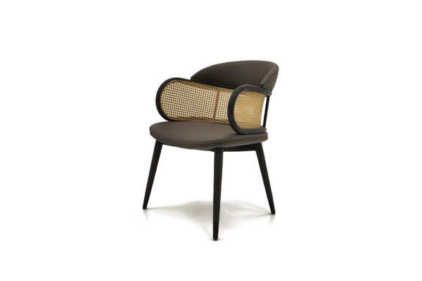 AW-CY59 Dining Chair