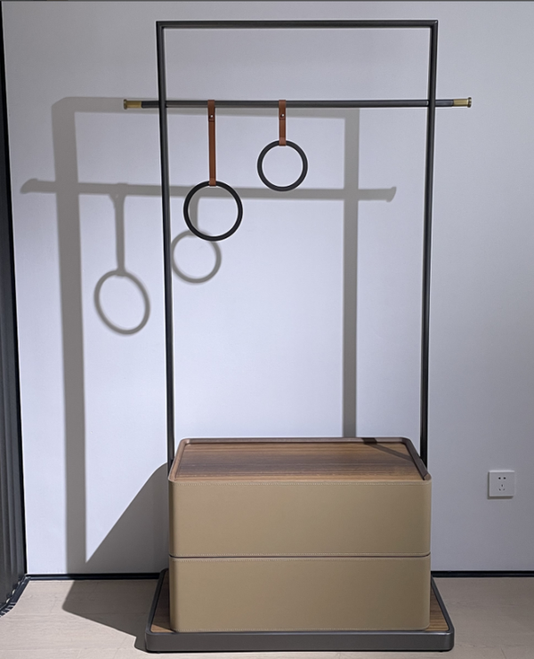 DF-2822 Minimalism Coat rack