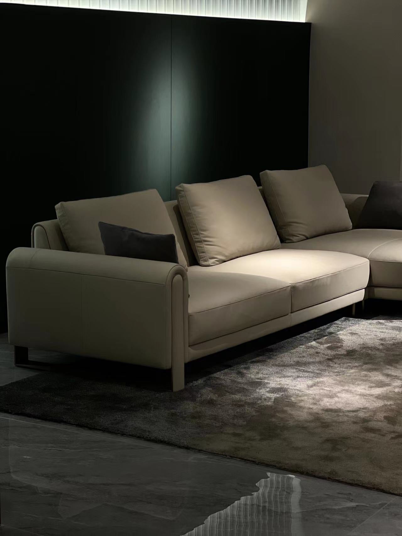 Italienisches minimalistisches FA93 Ledersofa DJ5-061 Sofa