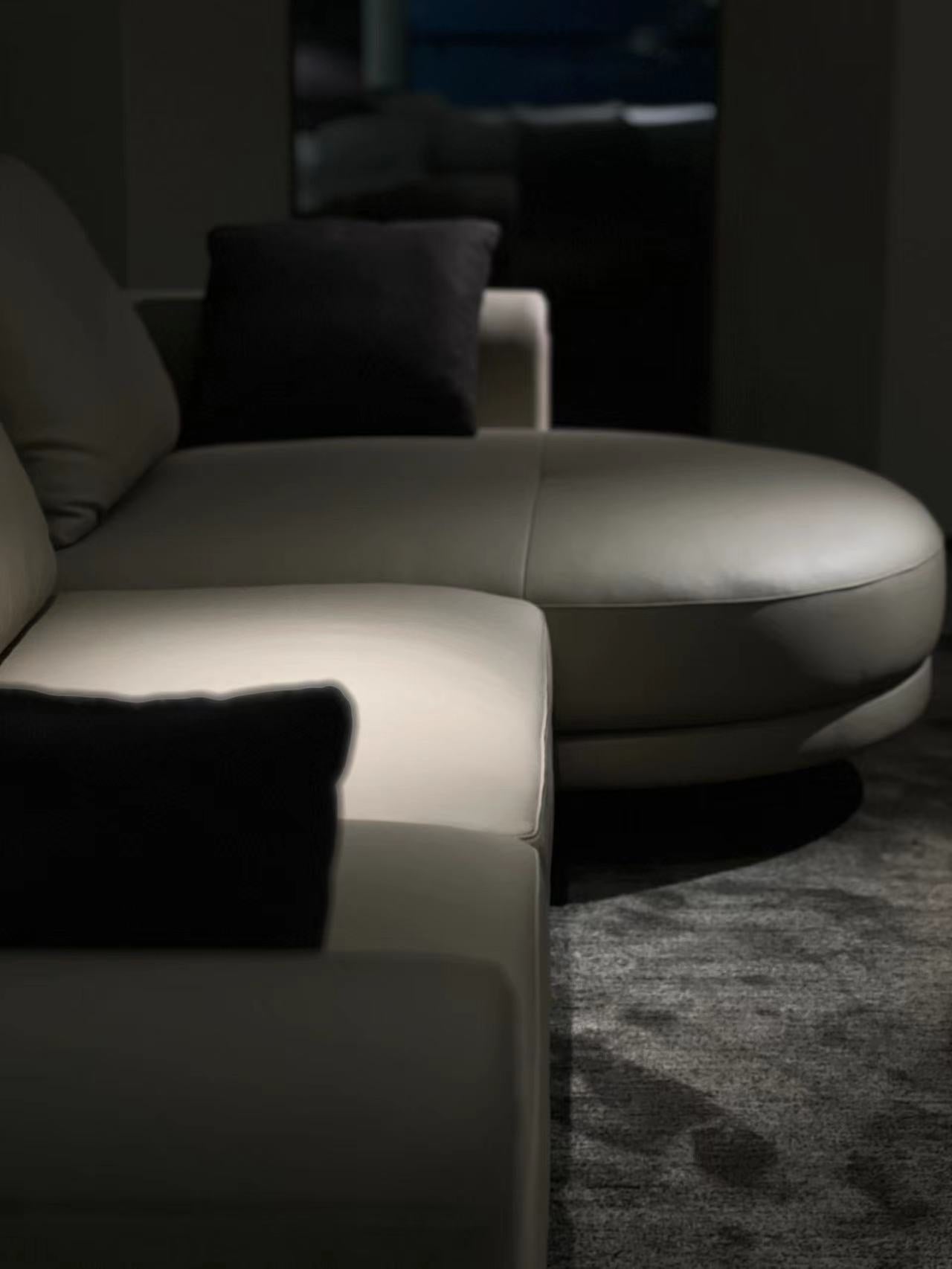 Italienisches minimalistisches FA93 Ledersofa DJ5-061 Sofa