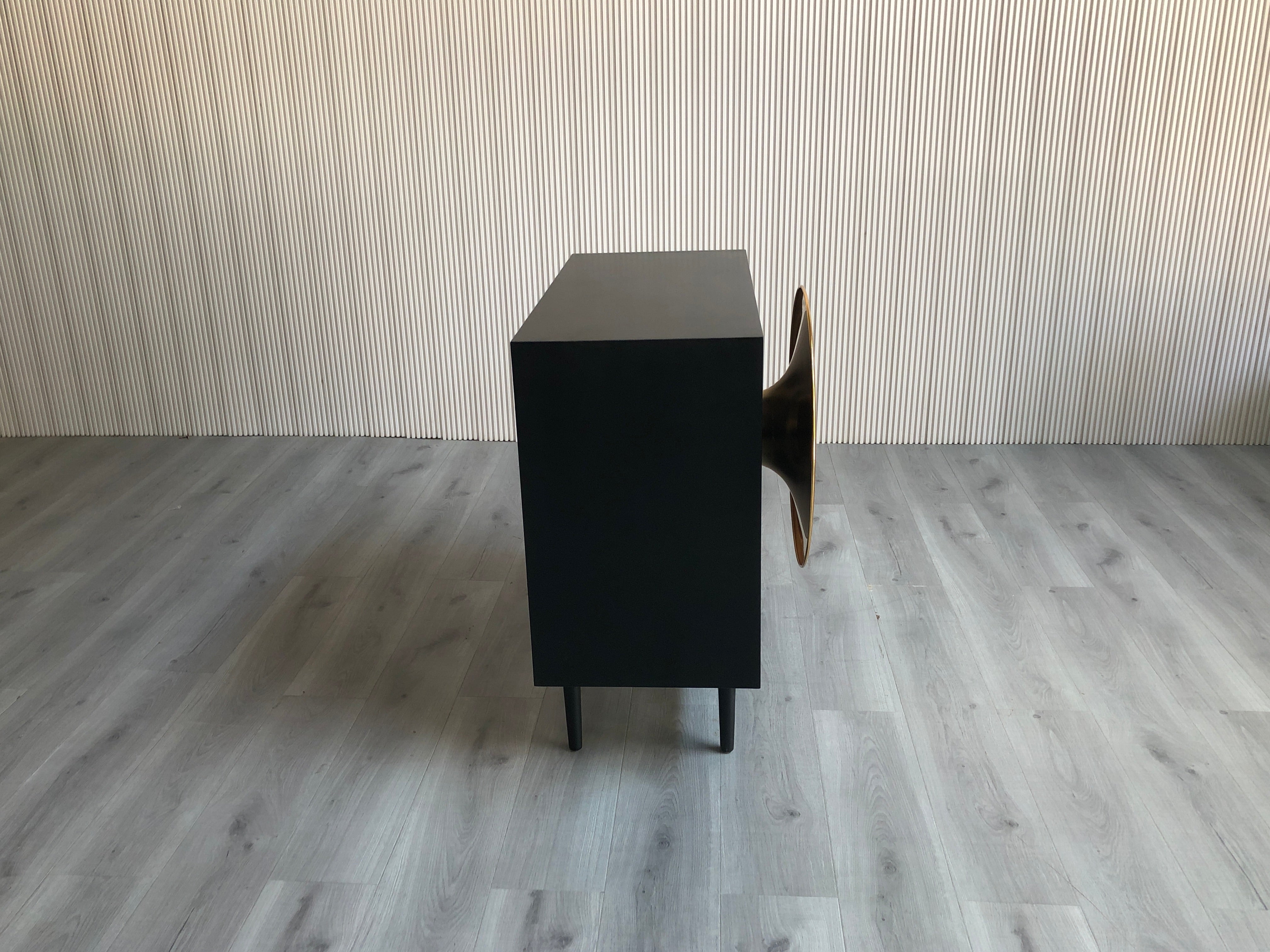 GL-101 Speaker cabinet Side Cabinet