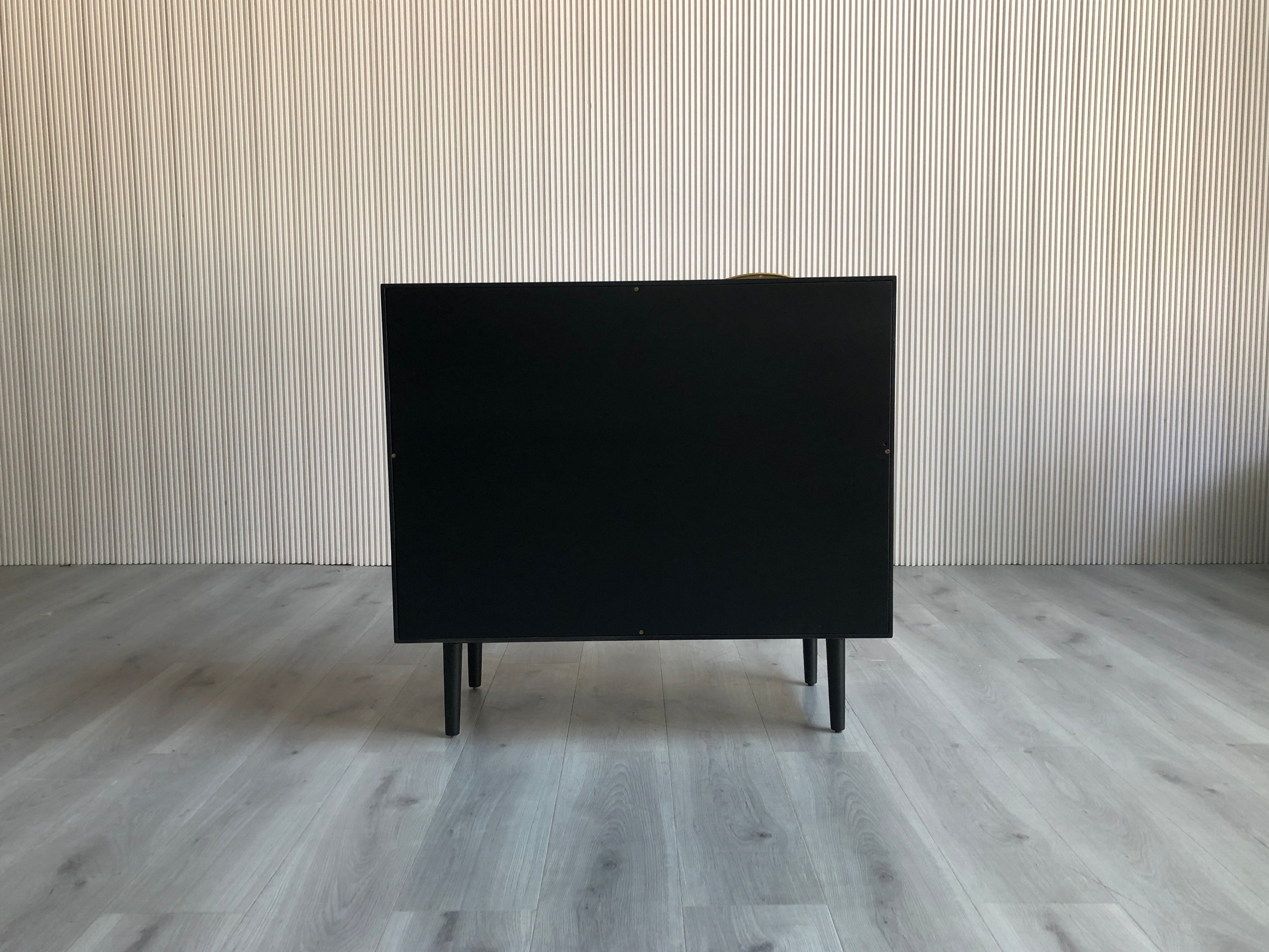 GL-101 Speaker cabinet Side Cabinet