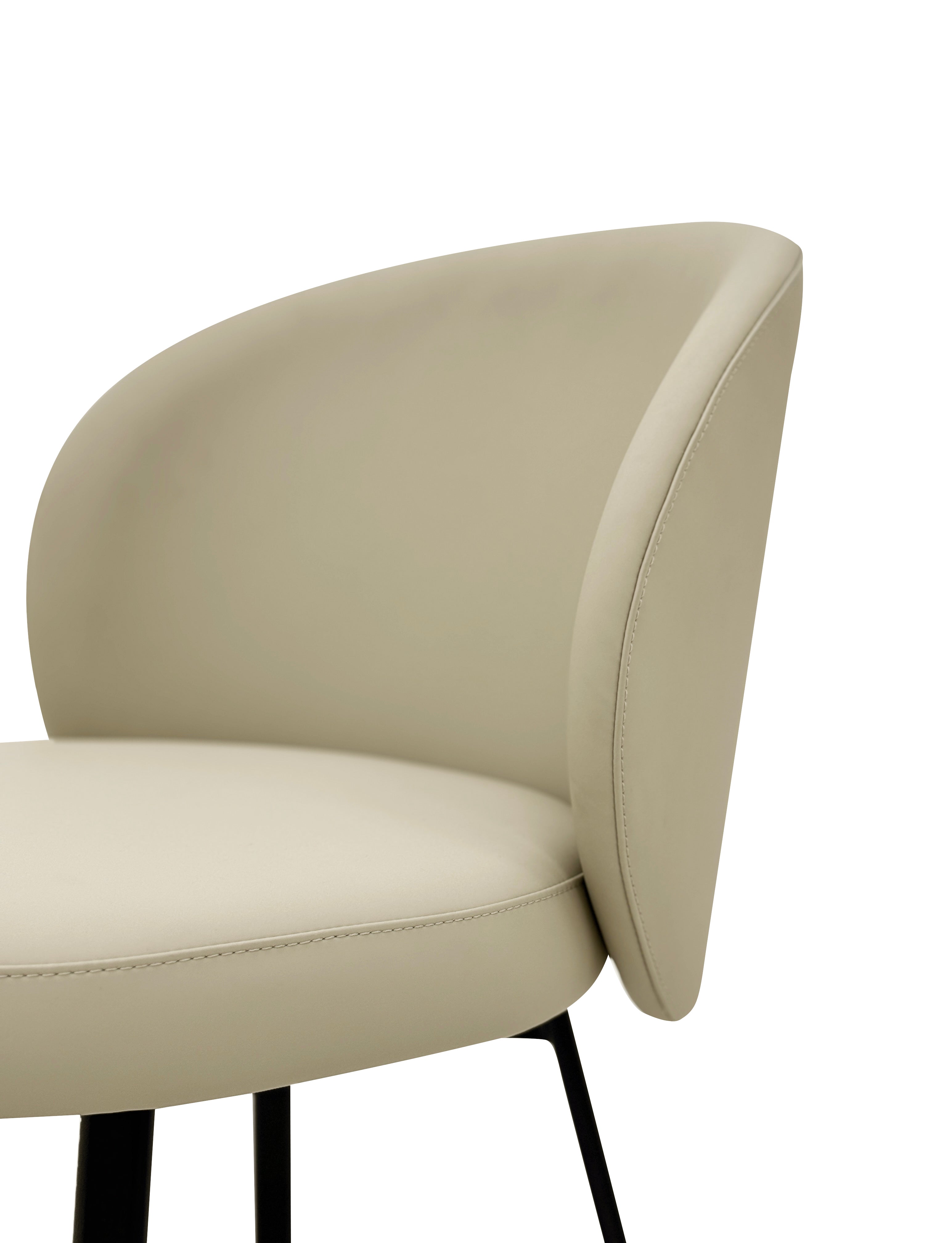 HB-2405  Dining Chair - Chiuchiufurniture