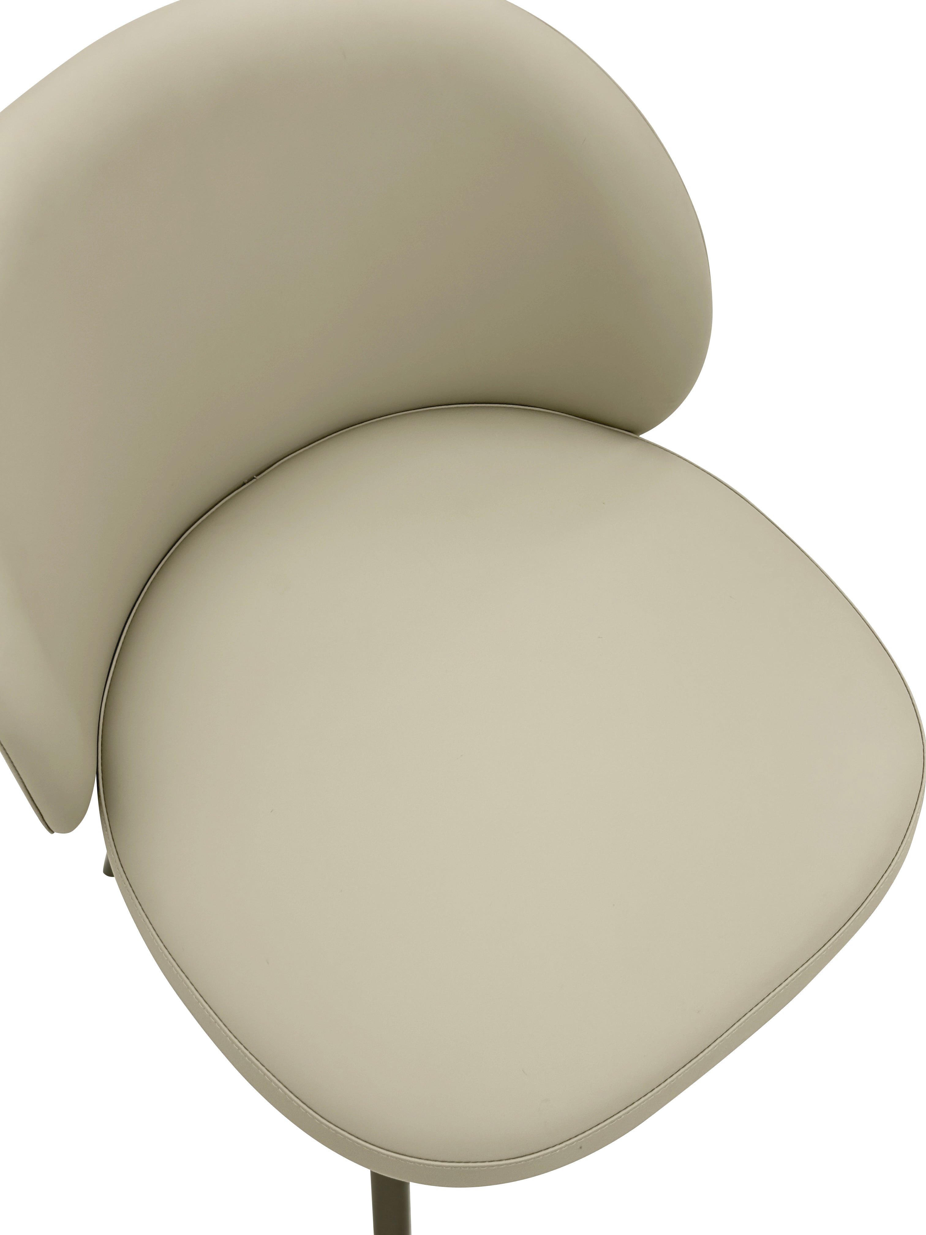 HB-2405  Dining Chair - Chiuchiufurniture