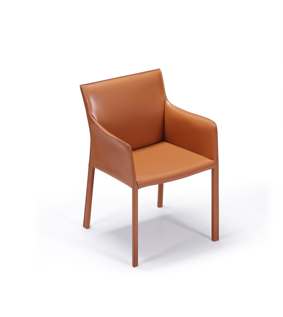 HB-W1911-3  Dining chair with armrests - Chiuchiufurniture