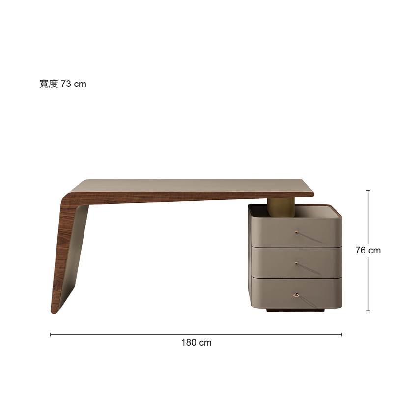 T-1015 Minimalism Bookcase Desk سرج جلدي