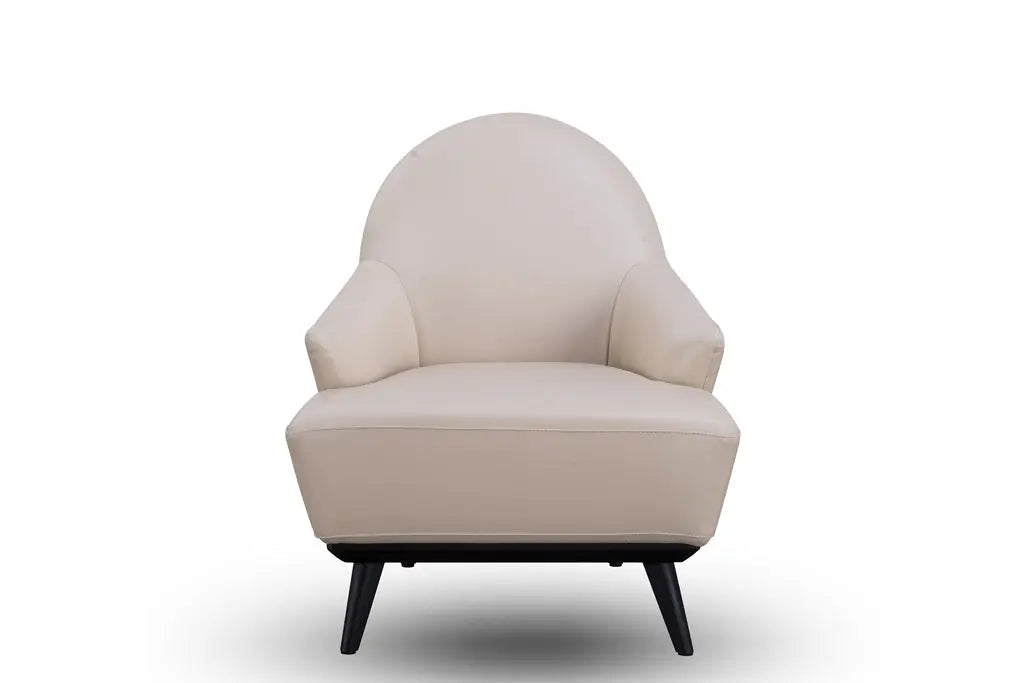 VE1-1662 Leisure Chair chiuchiufurniture