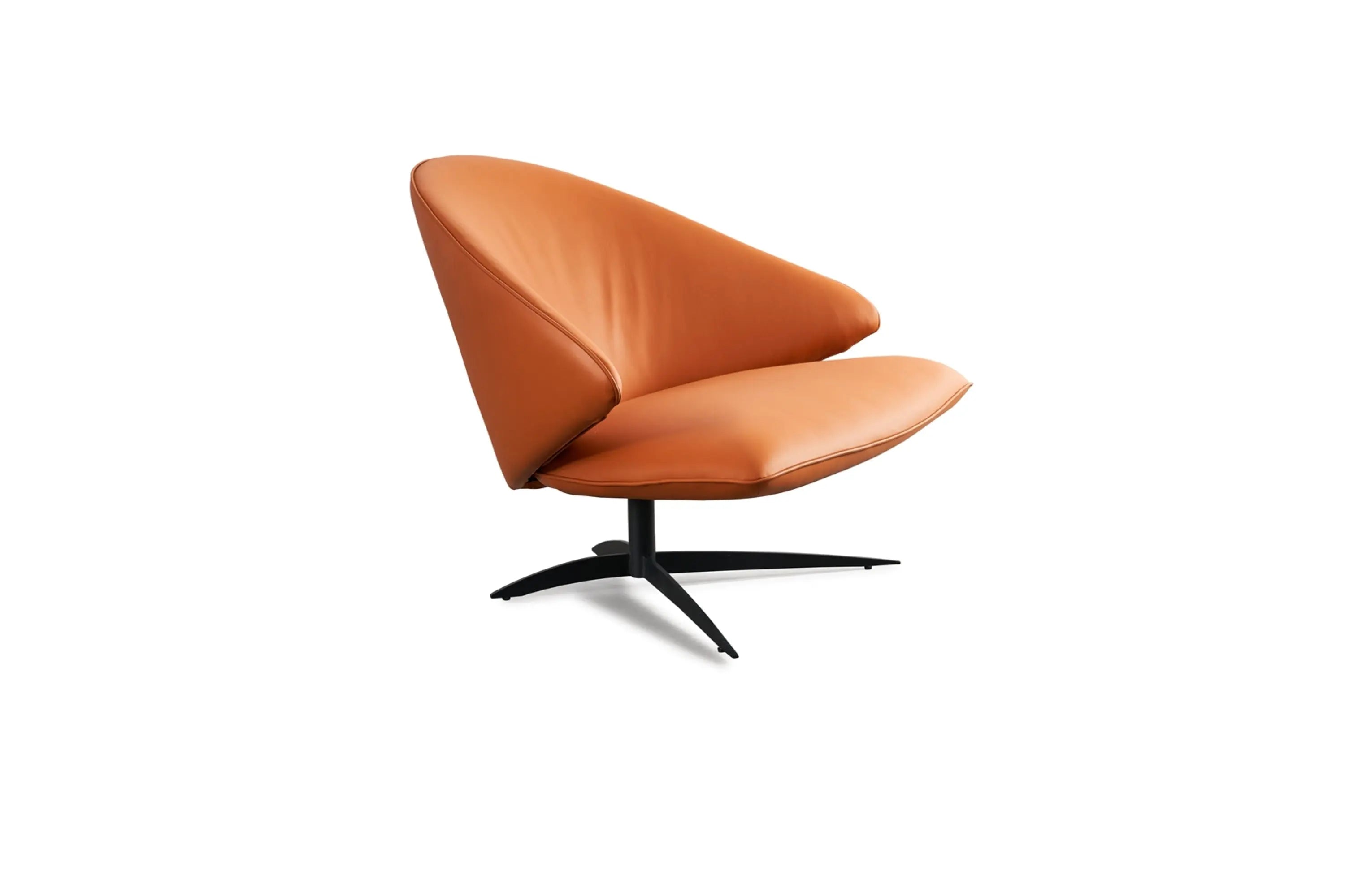 VE3-2067 Leisure Chair VV