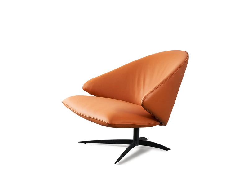 VE3-2067 Leisure Chair VV