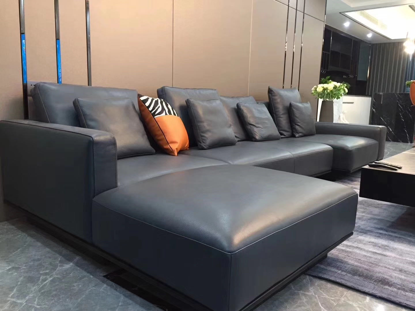 VJ5-1676   Combination Sofa  Comfortable and soft to sit on - Chiuchiufurniture