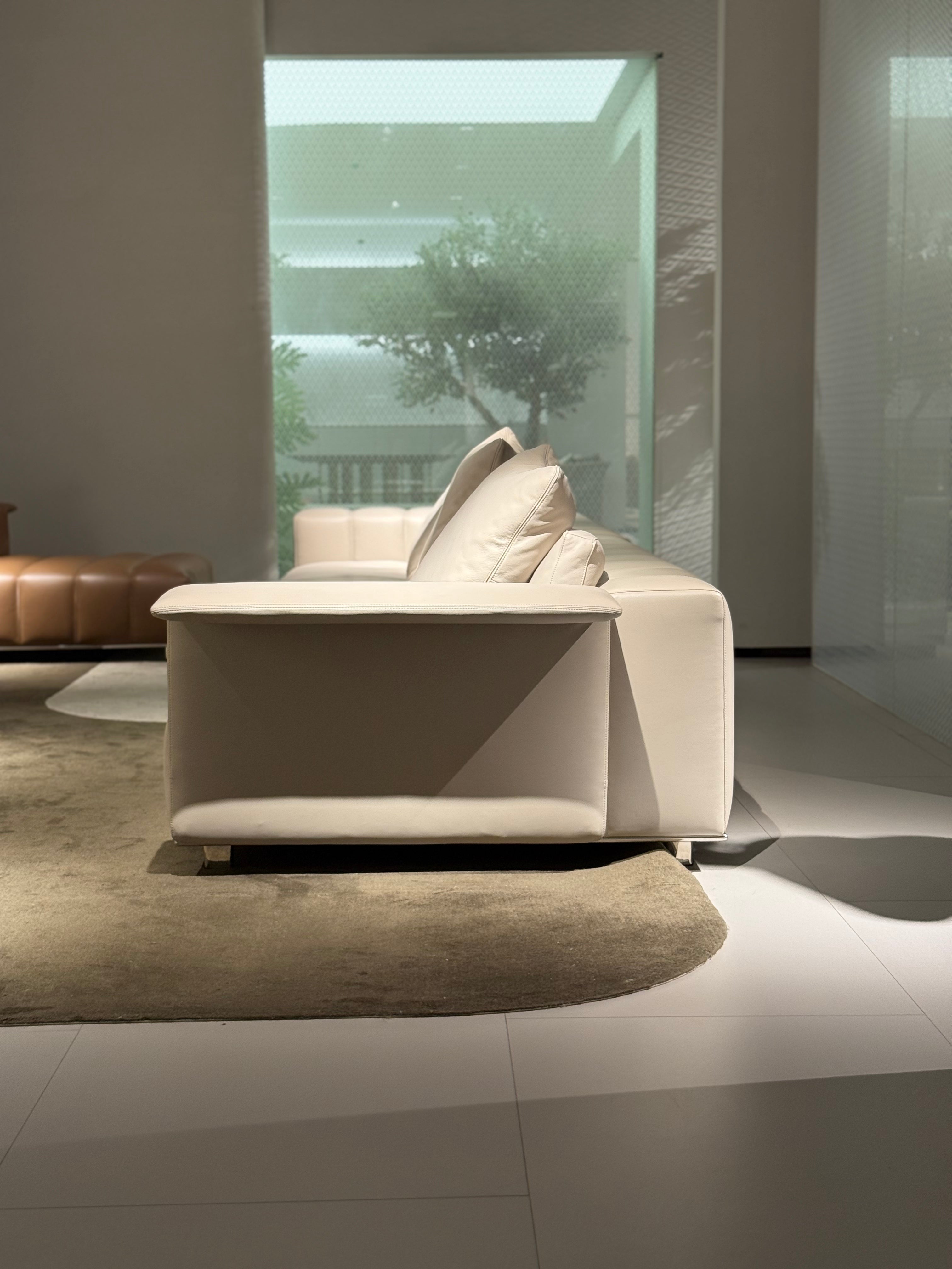 VJ6-2420  Combination Sofa  Comfortable and soft to sit on - Chiuchiufurniture