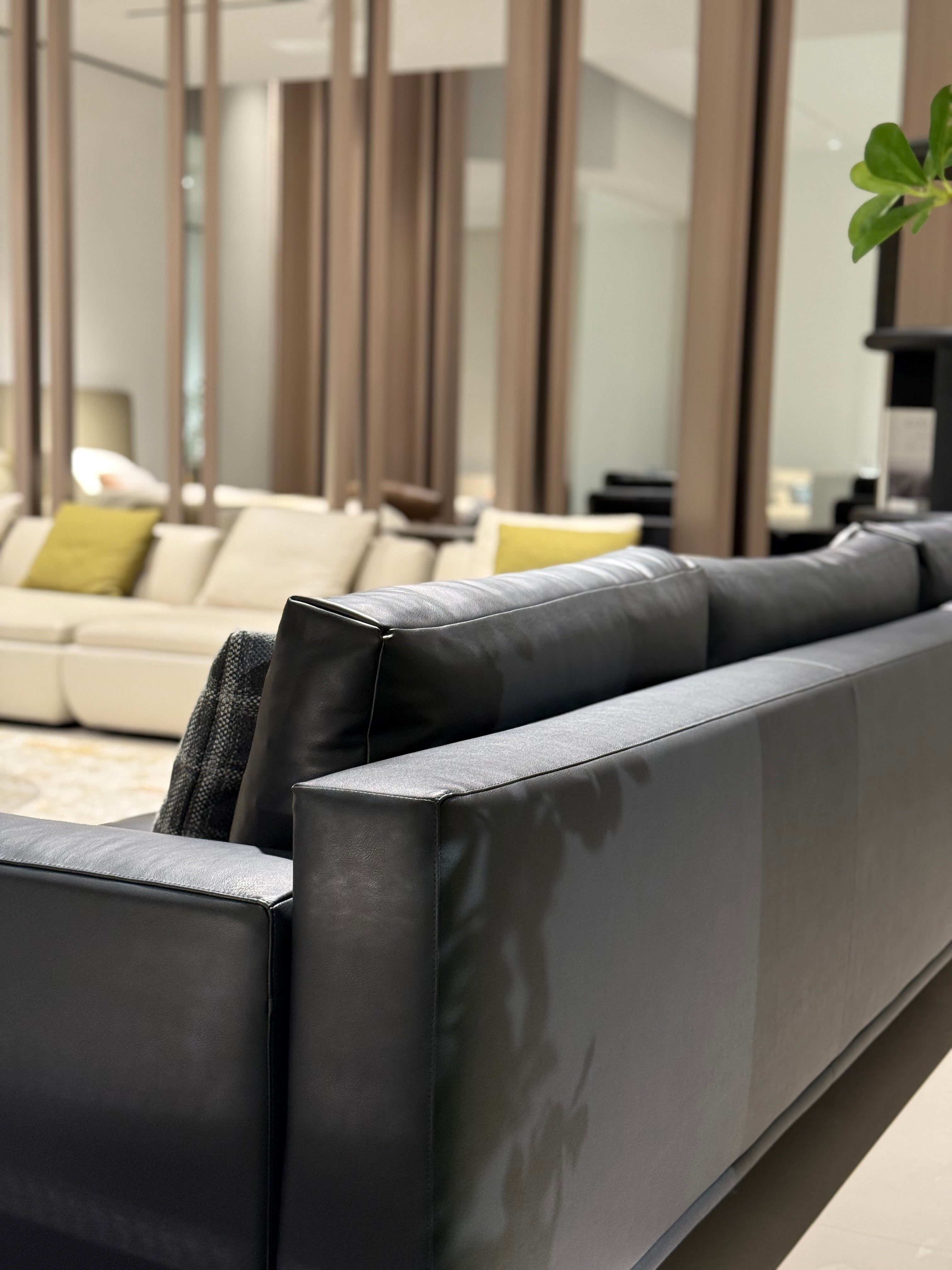 VJ6-2421  Combination Sofa  Comfortable and soft to sit on - Chiuchiufurniture